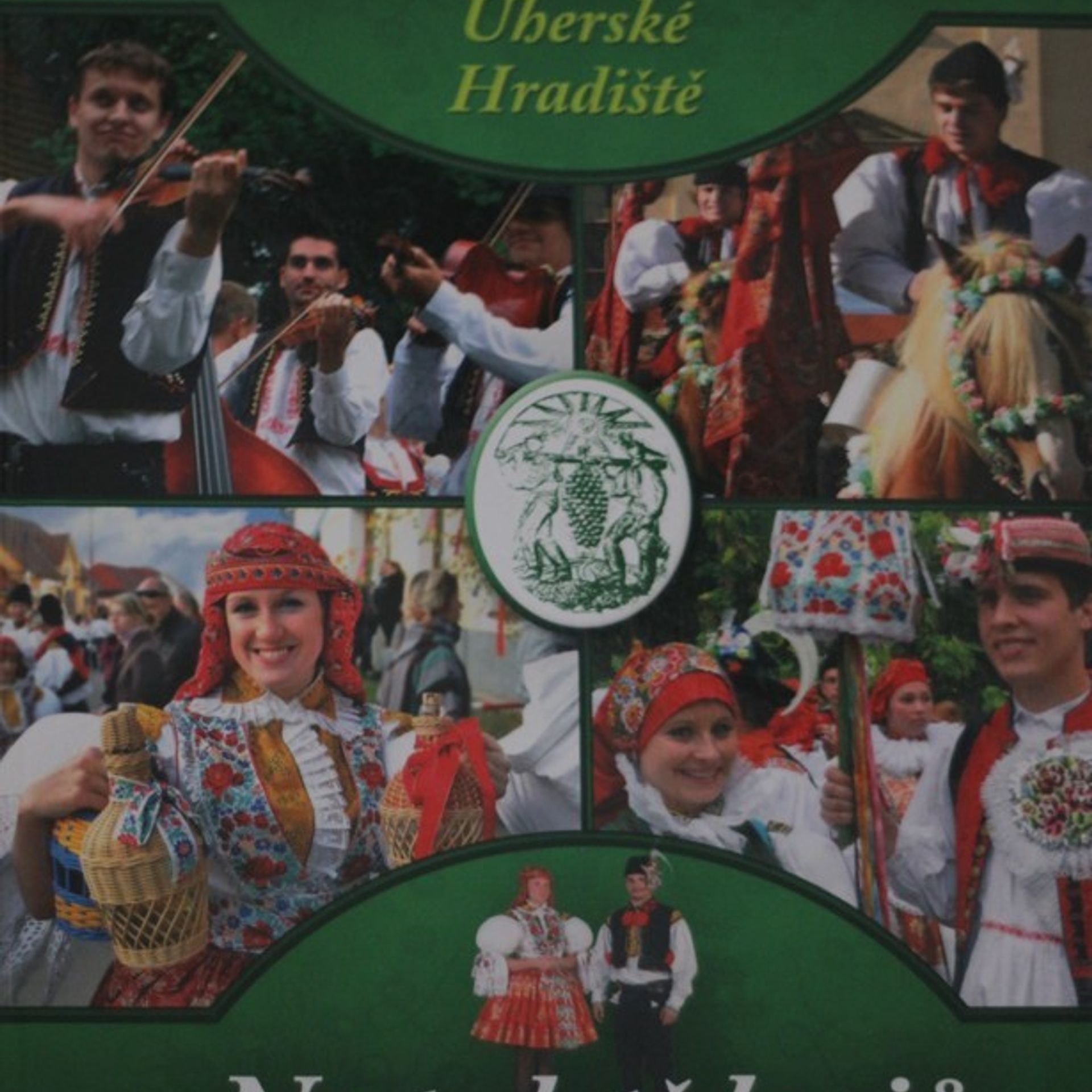 Kolektiv autorů Na paletě krojů