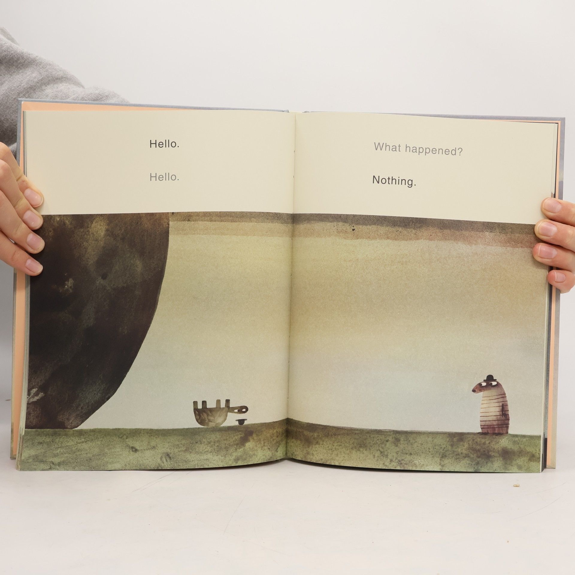 Jon Klassen The Rock From the Sky