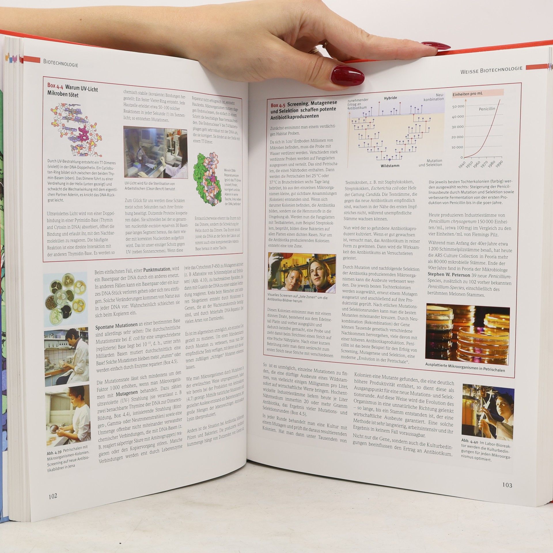 Reinhard Renneberg Biotechnology for Beginners
