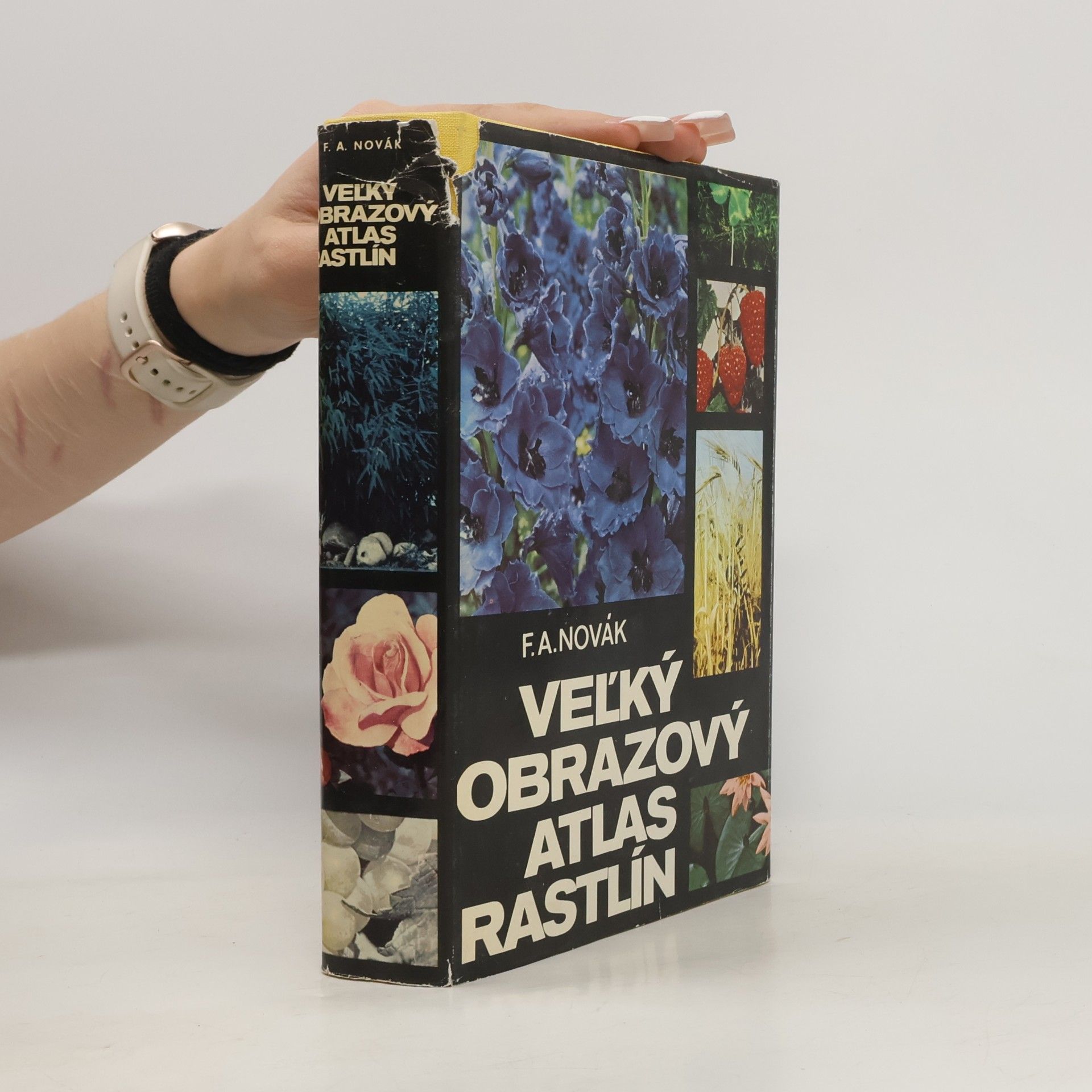 Veľký obrazový atlas rastlín