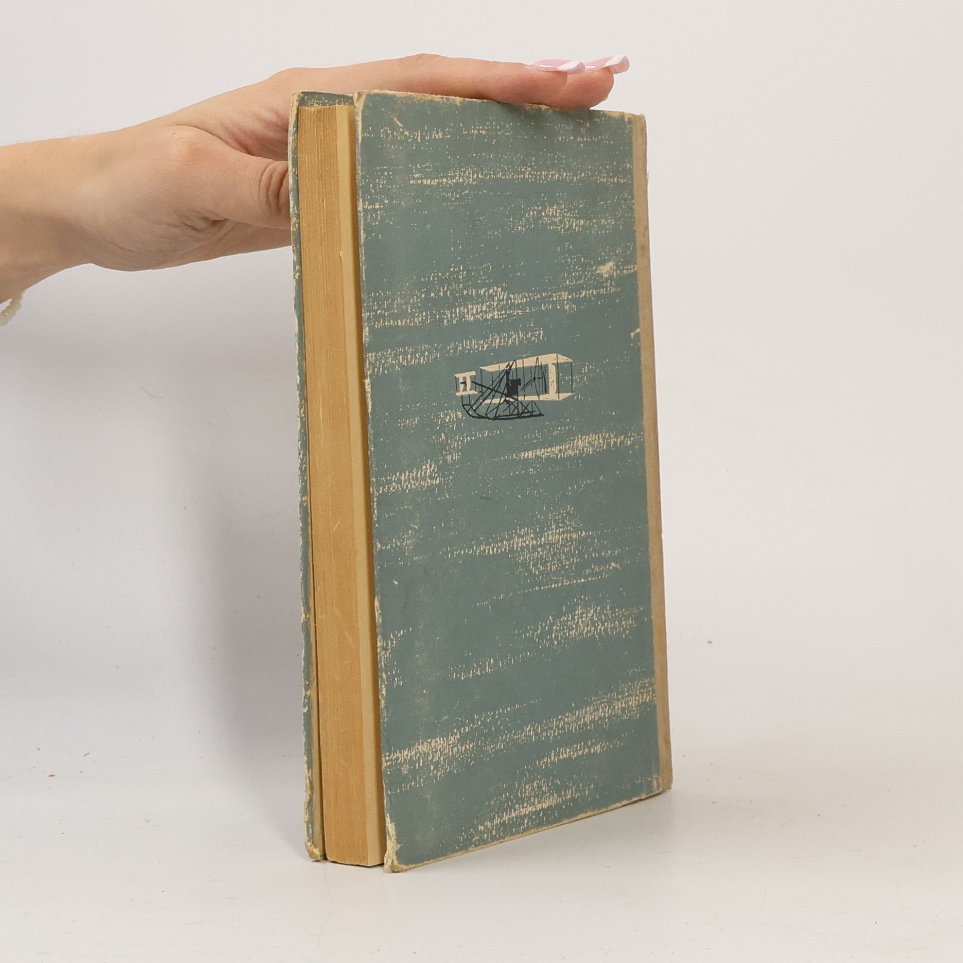 Fred Charters Kelly Die Gebrüder Wright