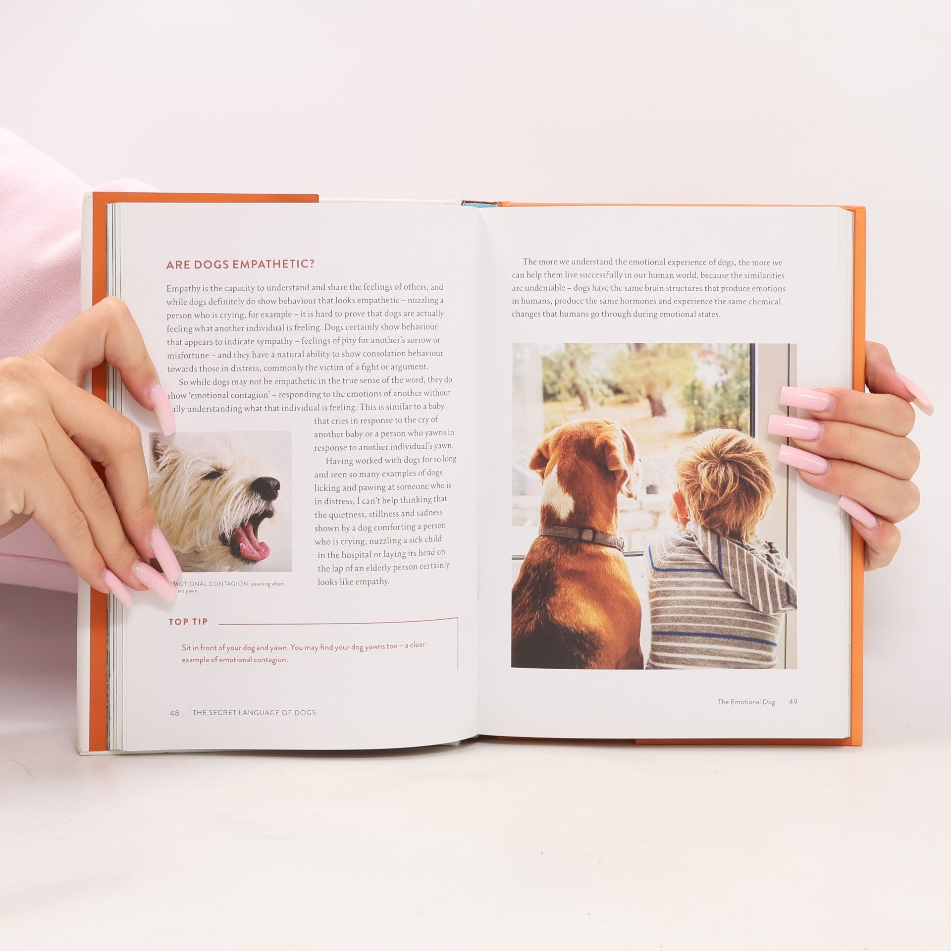 Victoria Stilwell The Secret Language of Dogs