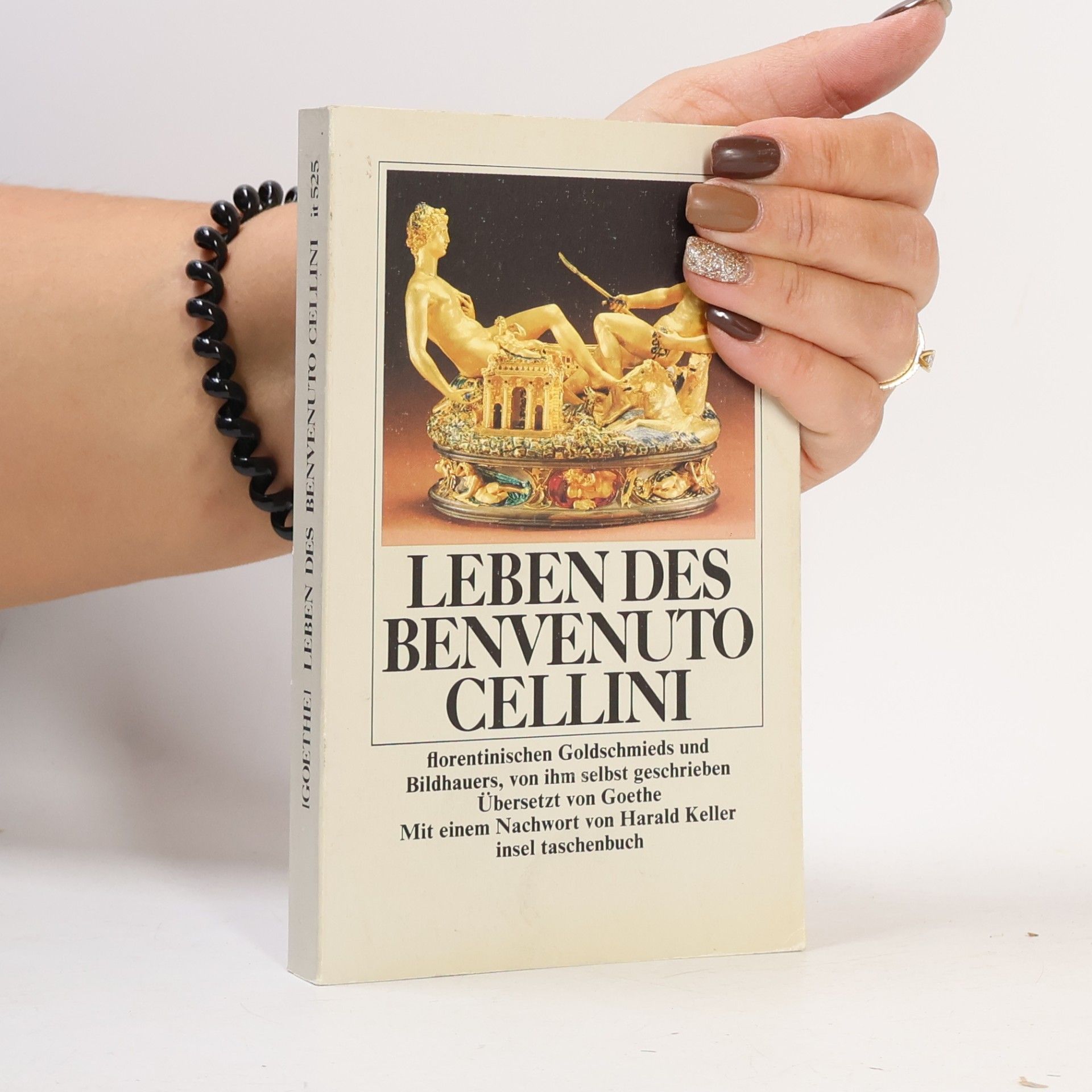 Benvenuto Cellini Leben des Benvenuto Cellini, florentinischen Goldschmieds und Bildhauers