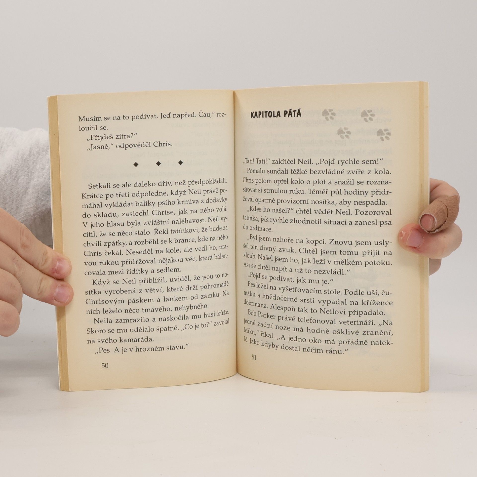 Linda Champan Záhadná Jessie. Komu patří Jessie?