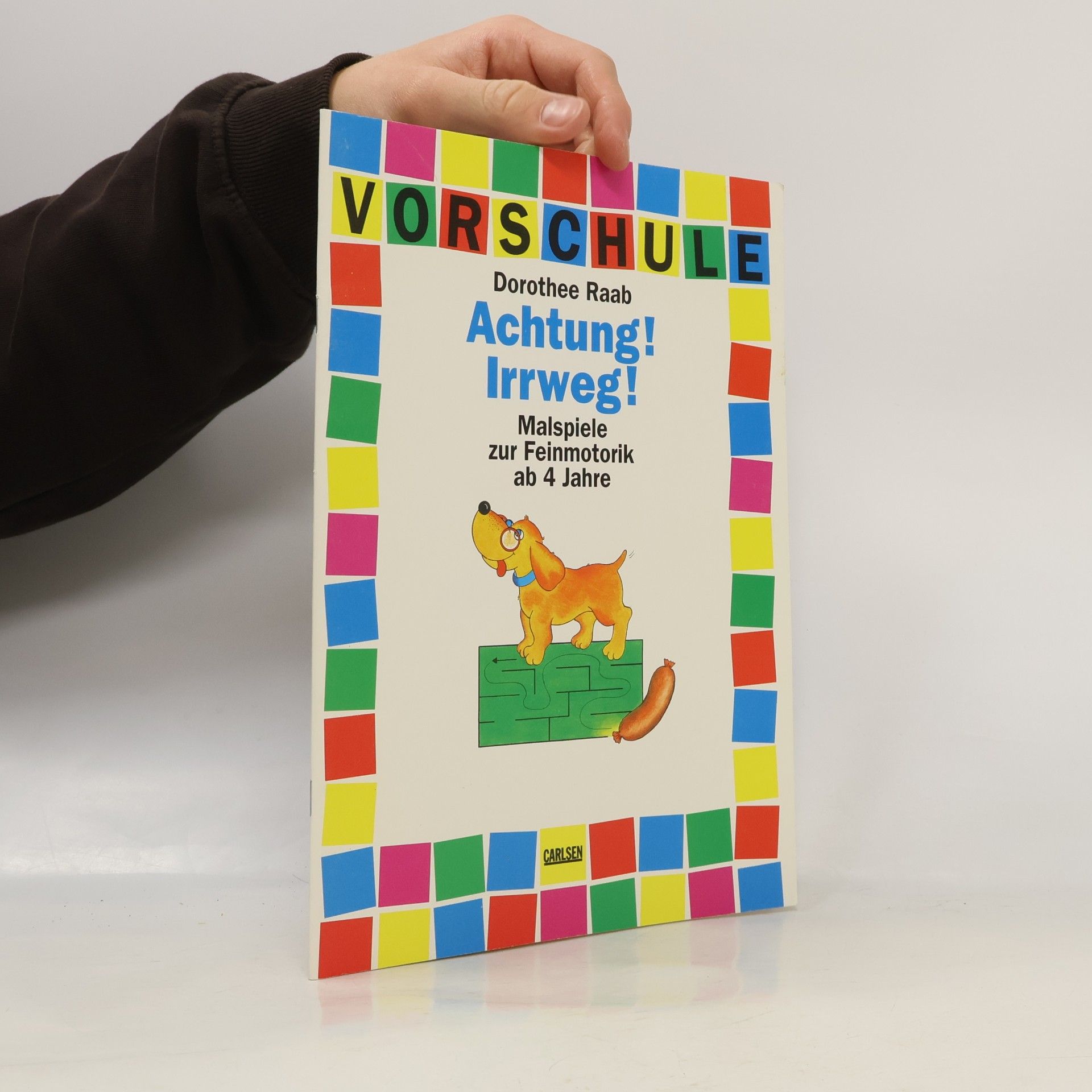 Dorothee Raab Achtung! Irrweg!