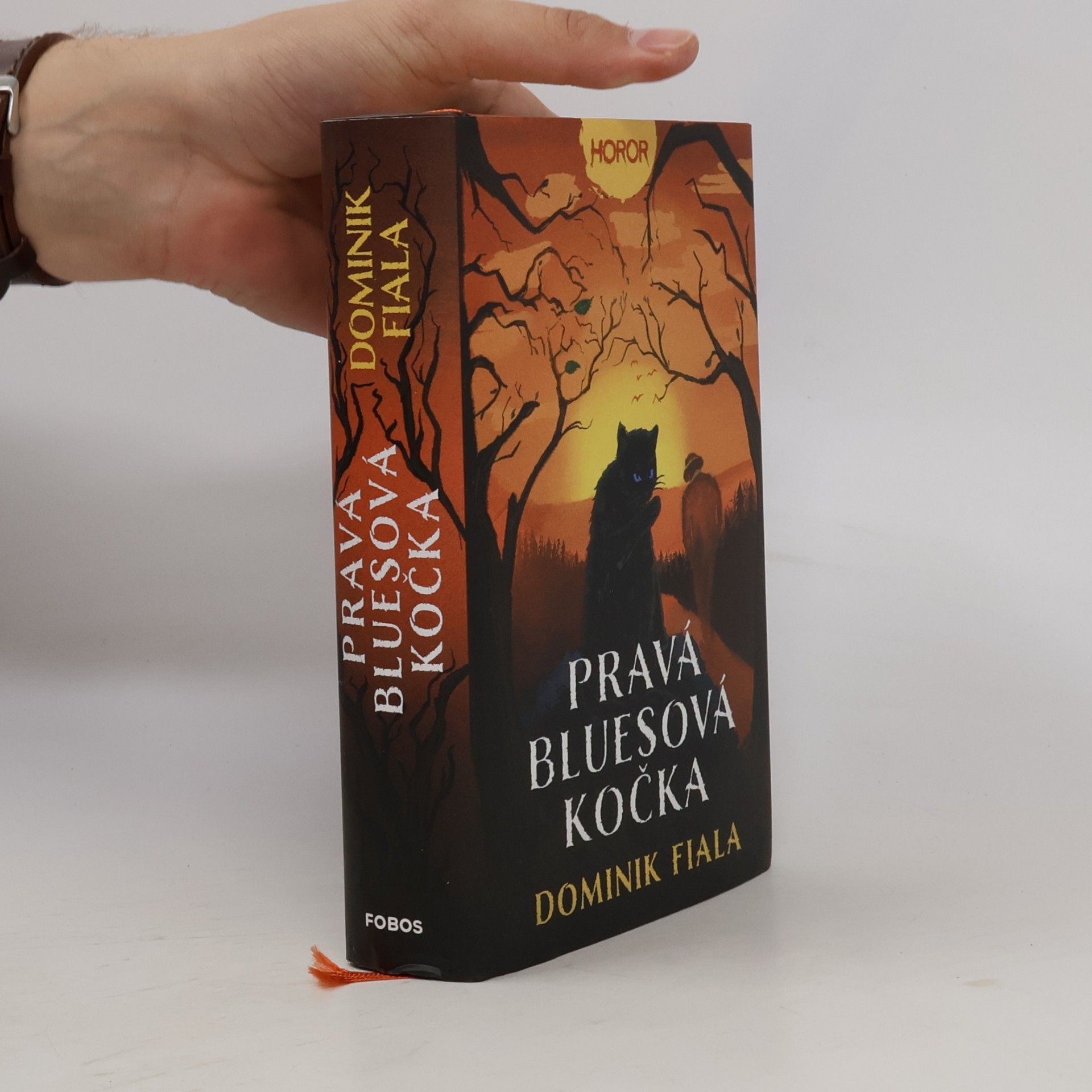 Pravá bluesová kočka