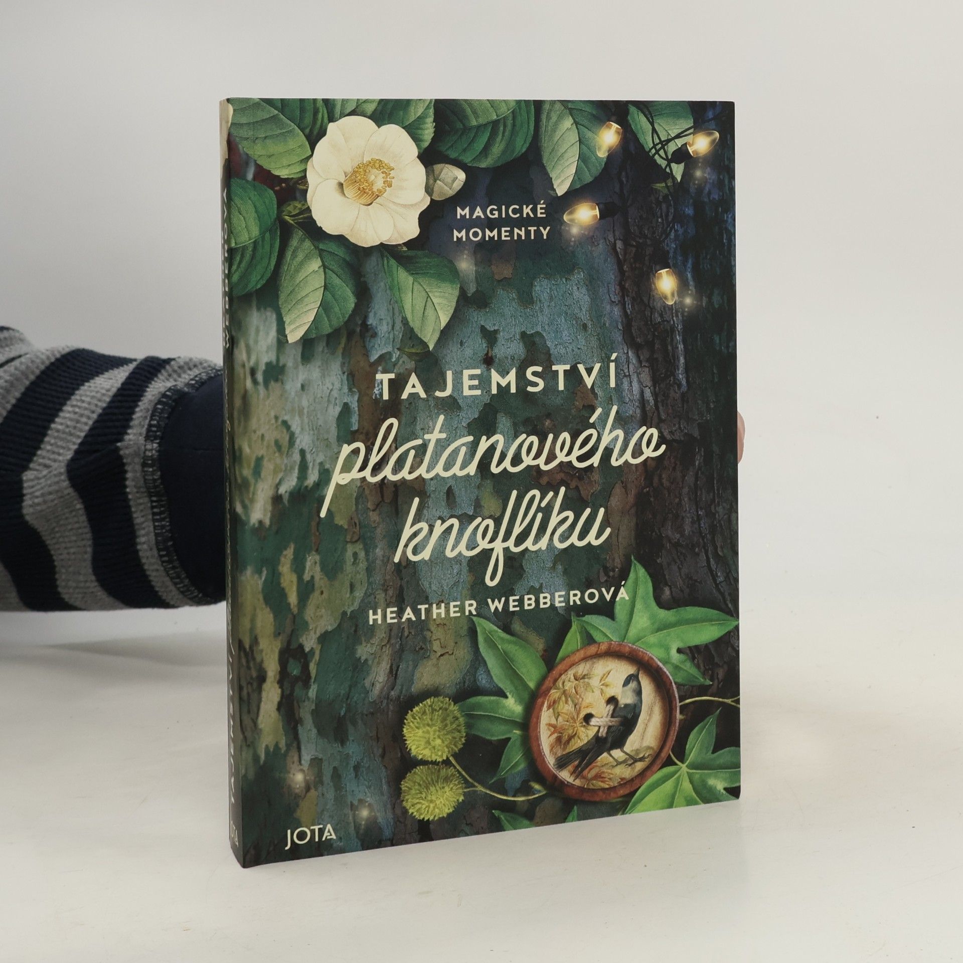 Tajemství platanového knoflíku