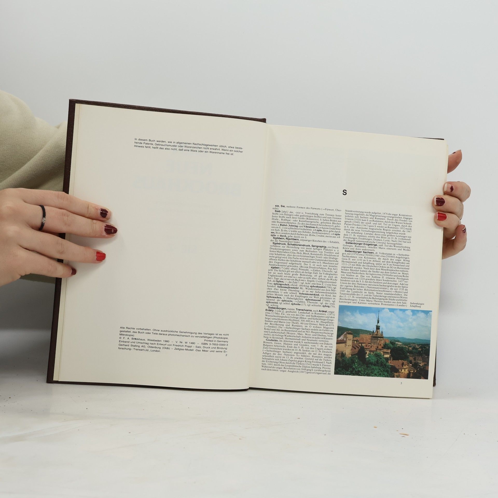 Autores varios Der Neue Brockhaus 5