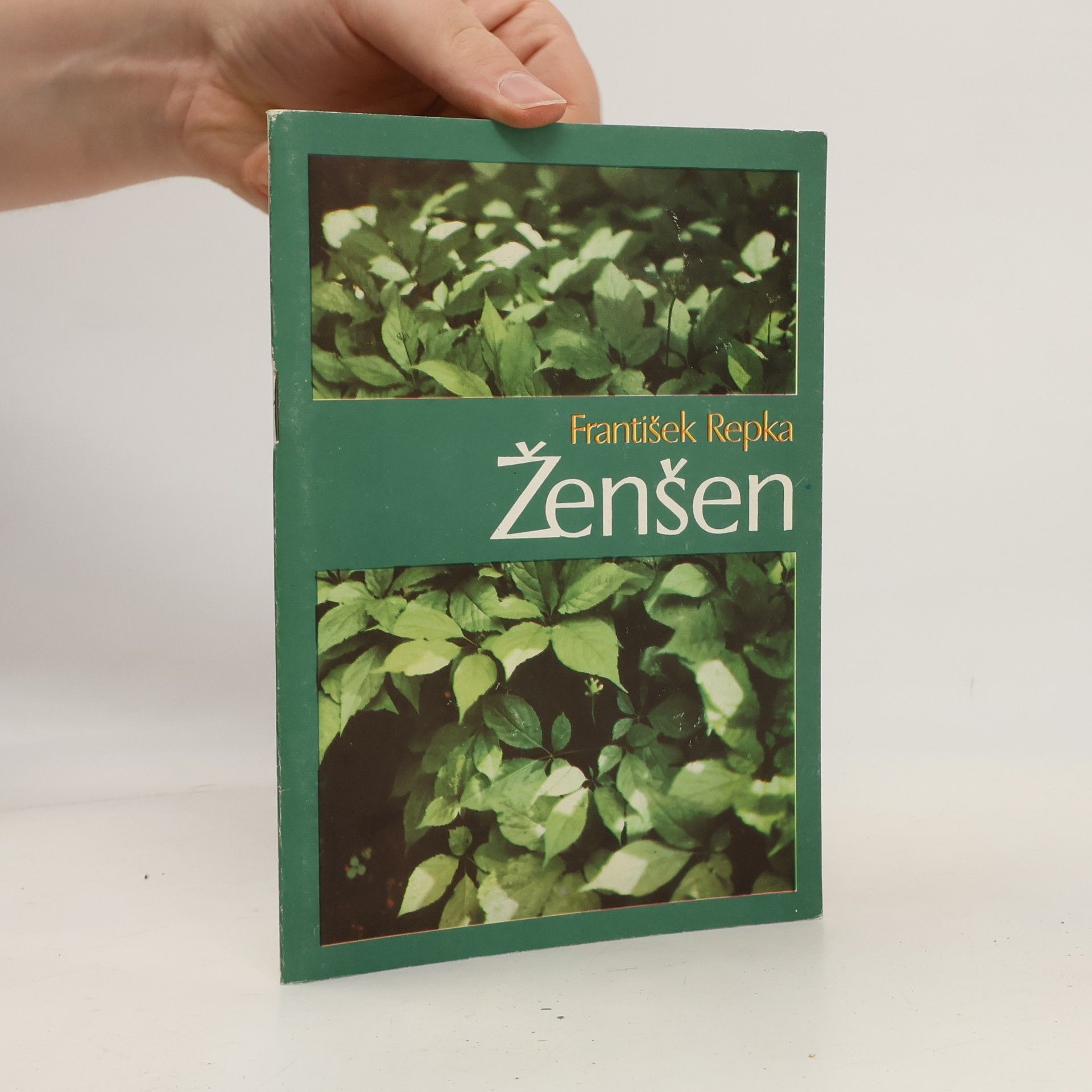 Ženšen