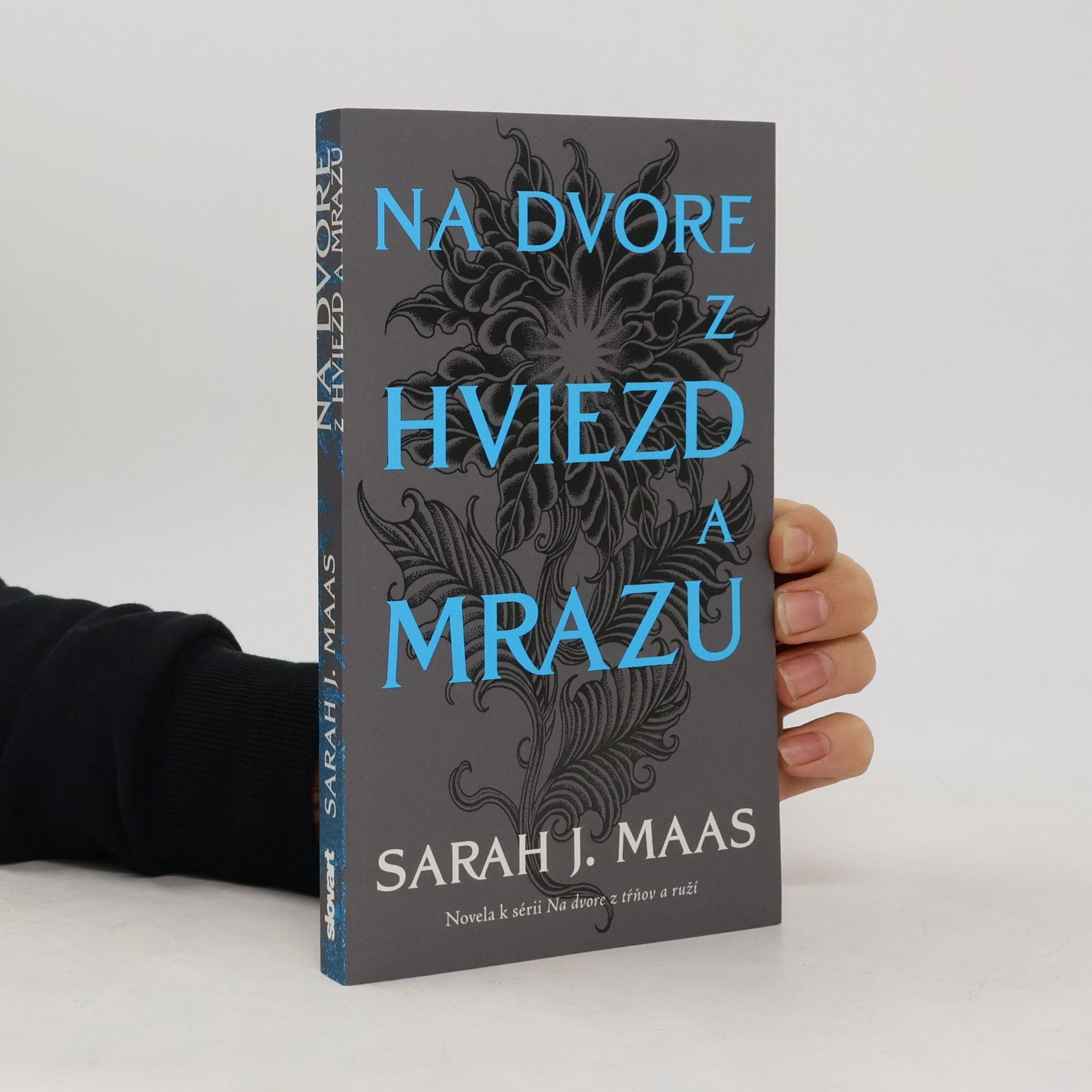 Na dvore z hviezd a mrazu