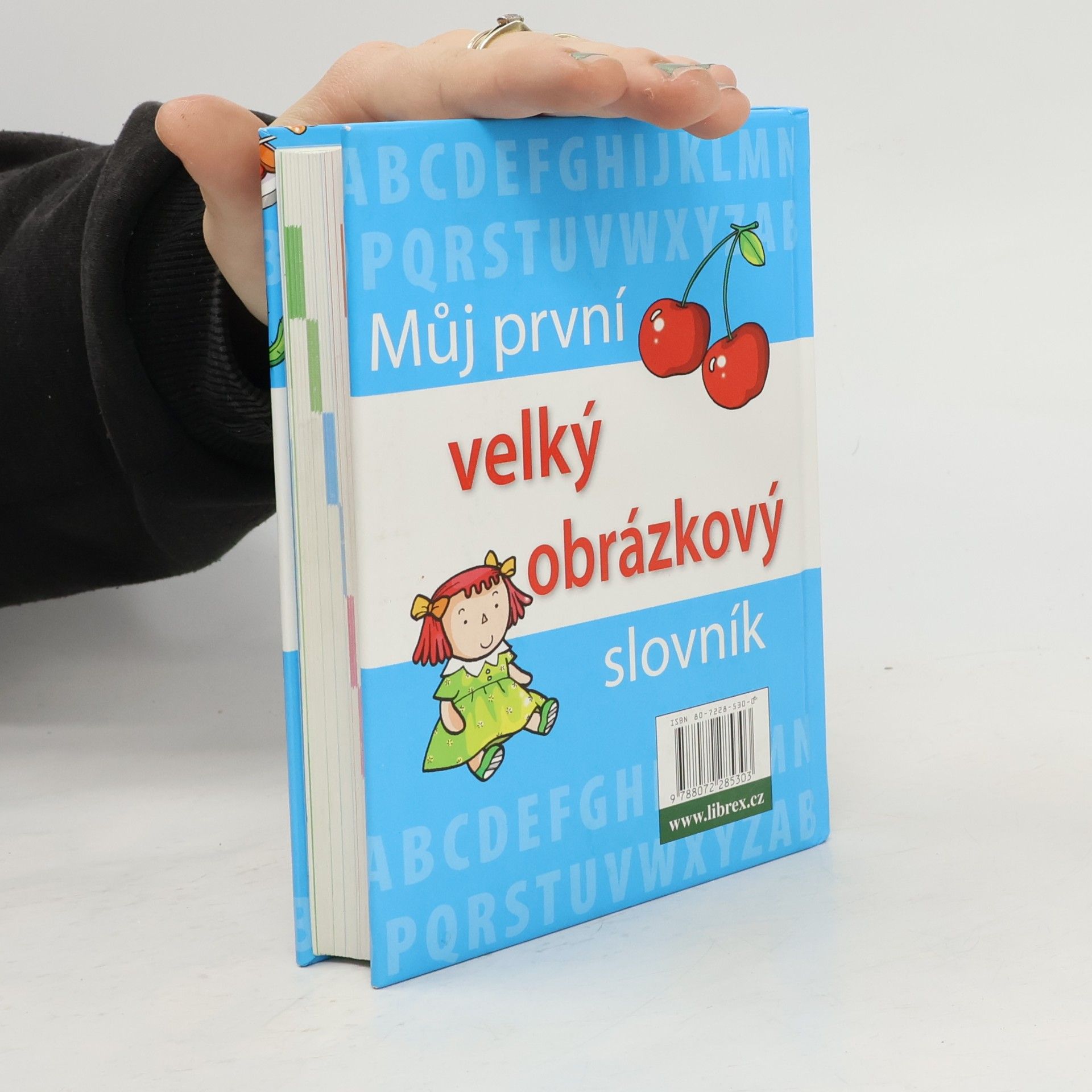 Autorenkollektiv Můj první velký obrázkový slovník : [anglické výrazy s výslovností]