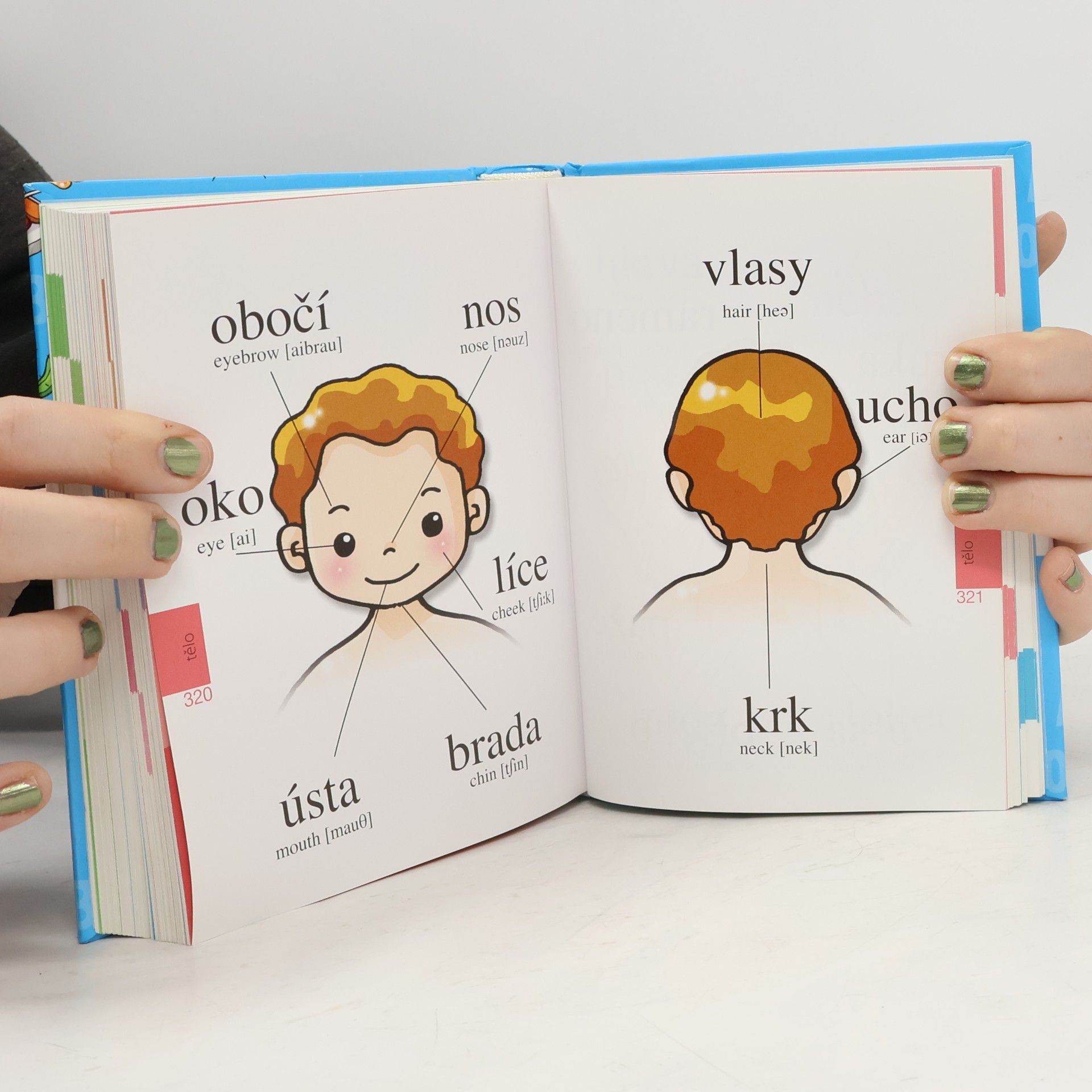 Autorenkollektiv Můj první velký obrázkový slovník : [anglické výrazy s výslovností]