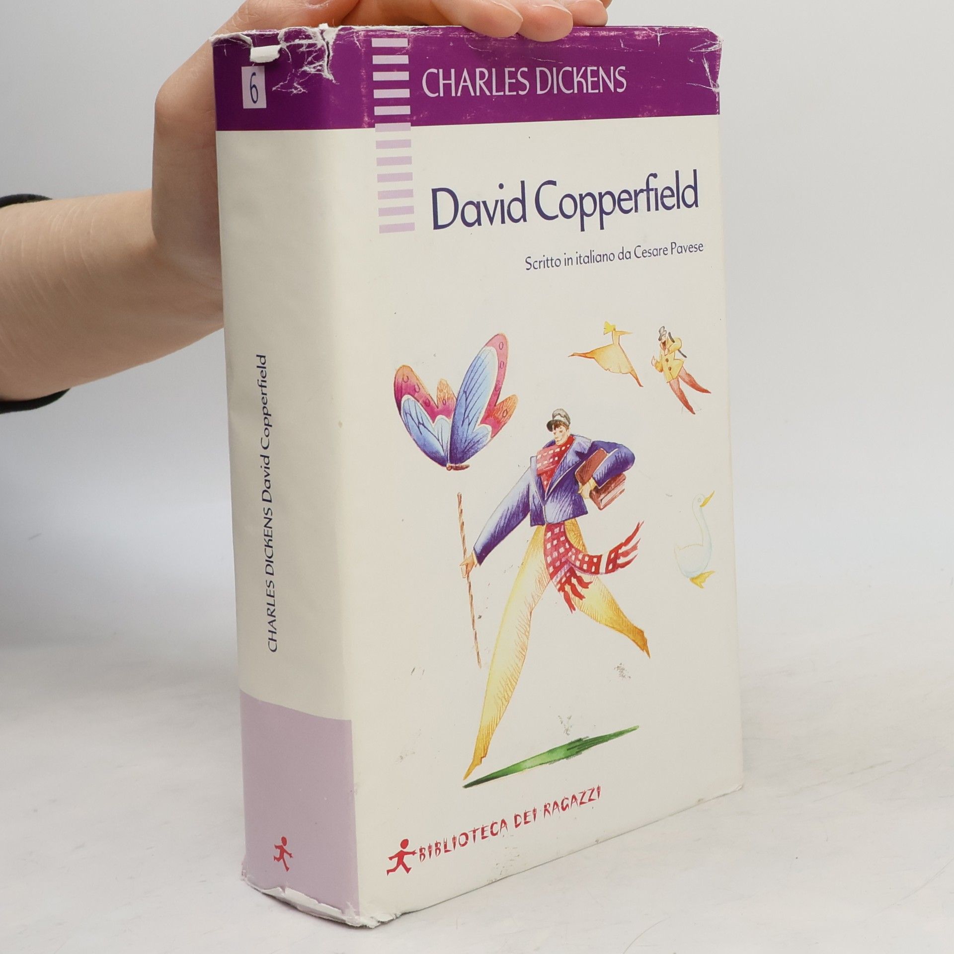 Biblioteca dei Ragazzi - 6: David Copperfield