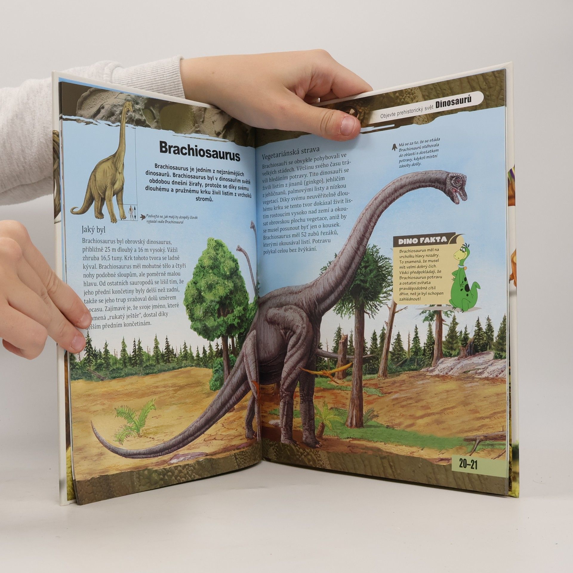 Kolektiv autorů Nové obzory - Dinosauři: Dobrodružství ve světě dinosaurů Dinosauři Objevte prehistorický svět dinosaurů