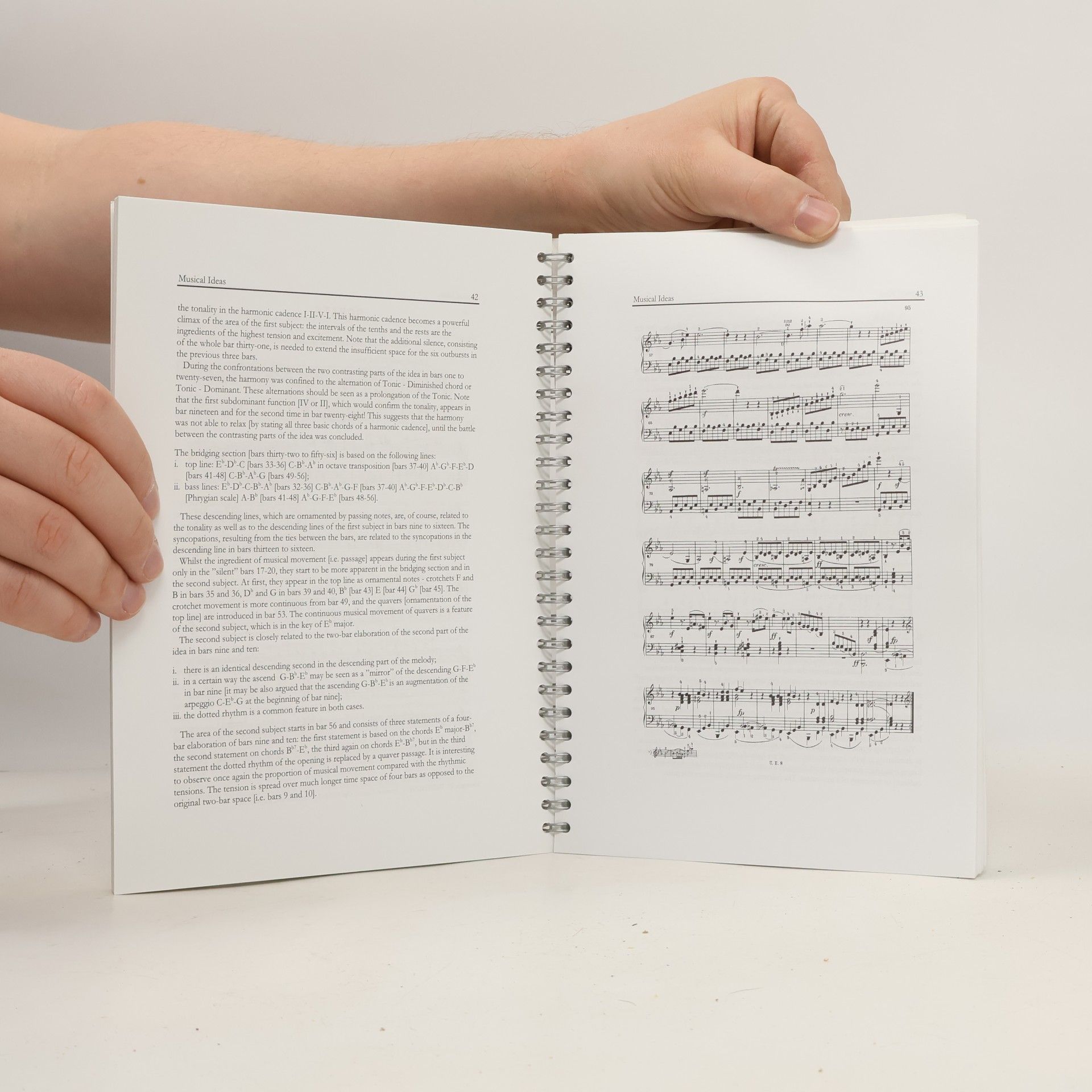 Zdeněk Bruderhans Fundamentals of Musical Performance