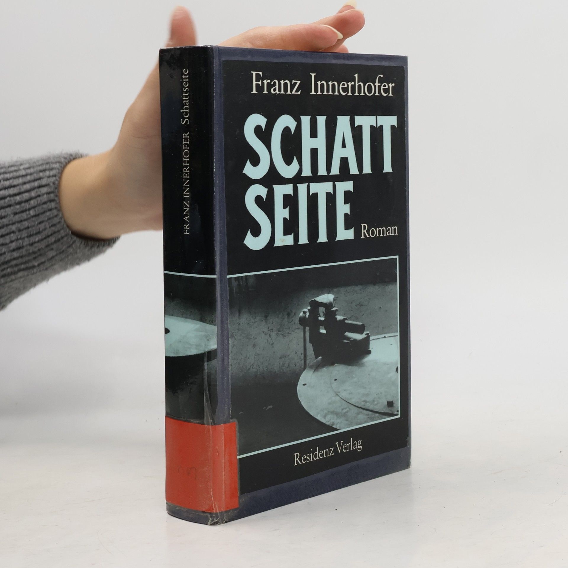 Franz Innerhofer Schattseite : Roman