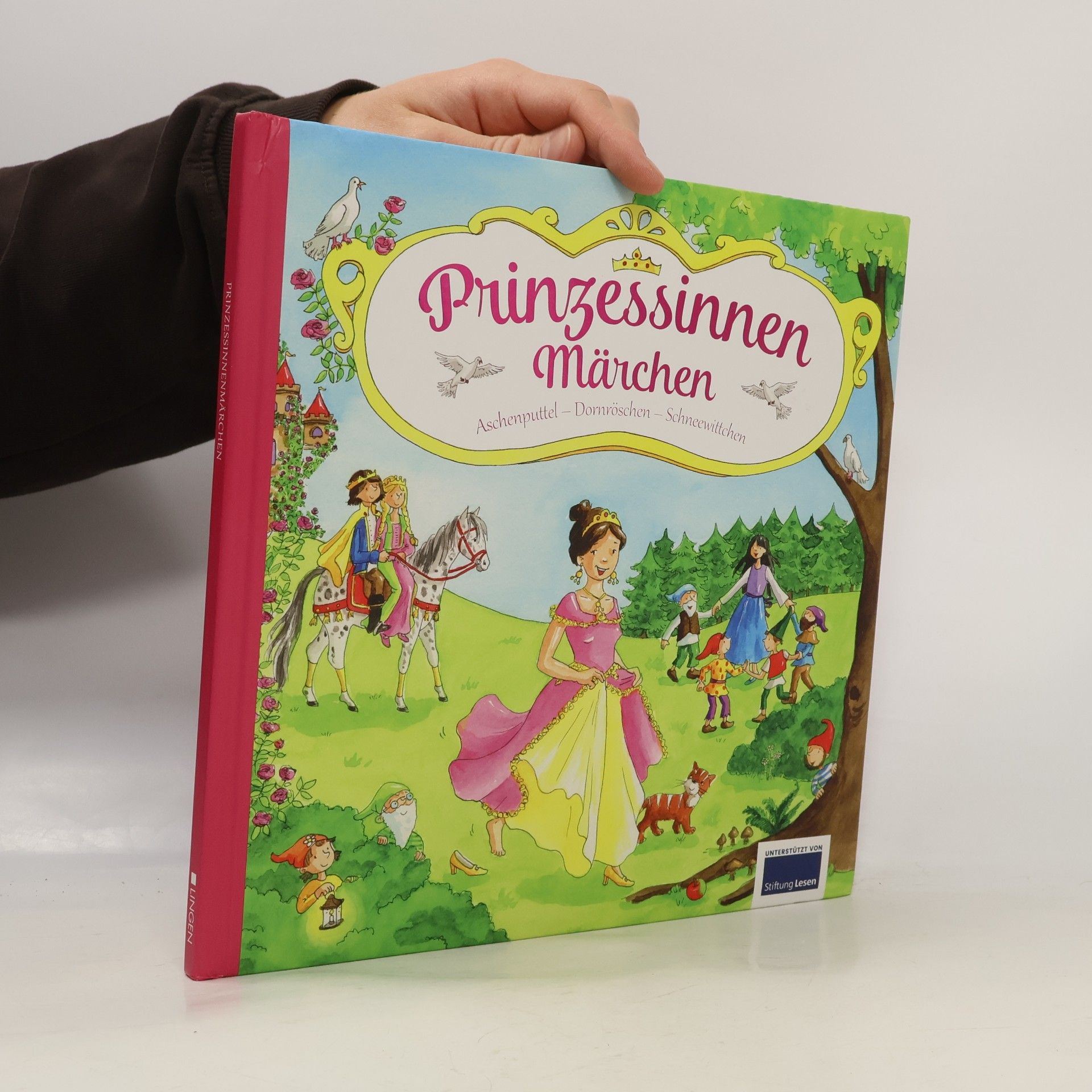 Collectif d'auteurs Prinzessinnen Märchen. Aschenputtel-Donröschen-Schneewittchen