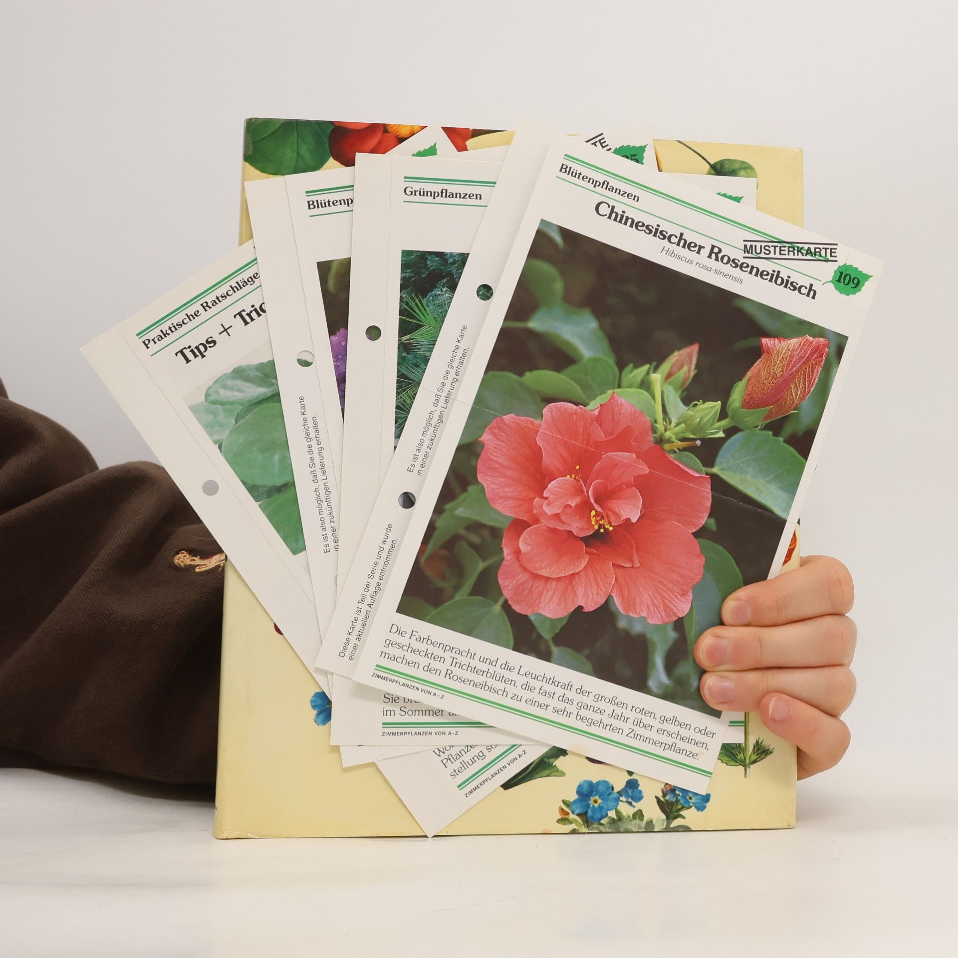 Kolektiv autorů Die wunderbare Welt der Gartenblumen
