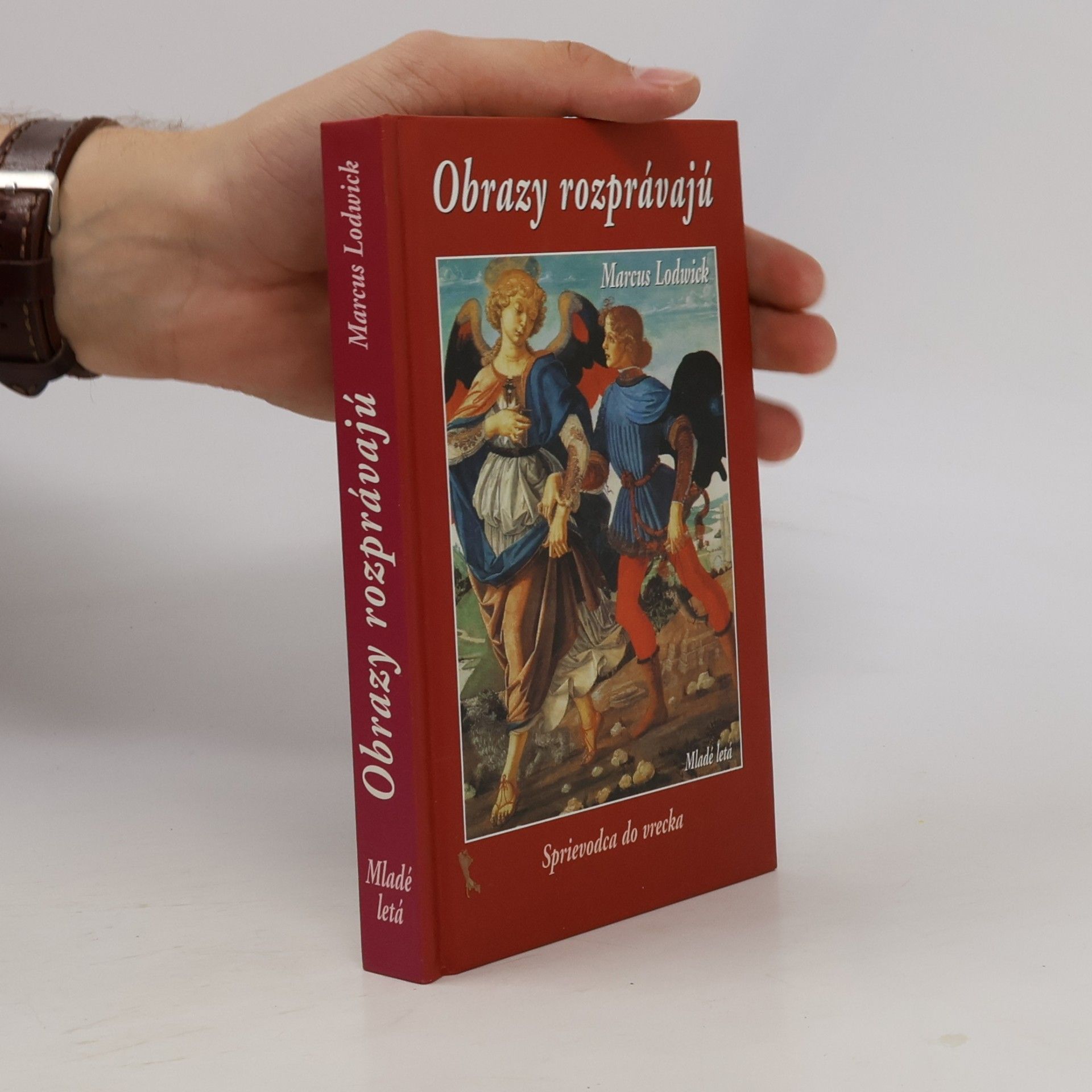 Obrazy rozprávajú : sprievodca do vrecka