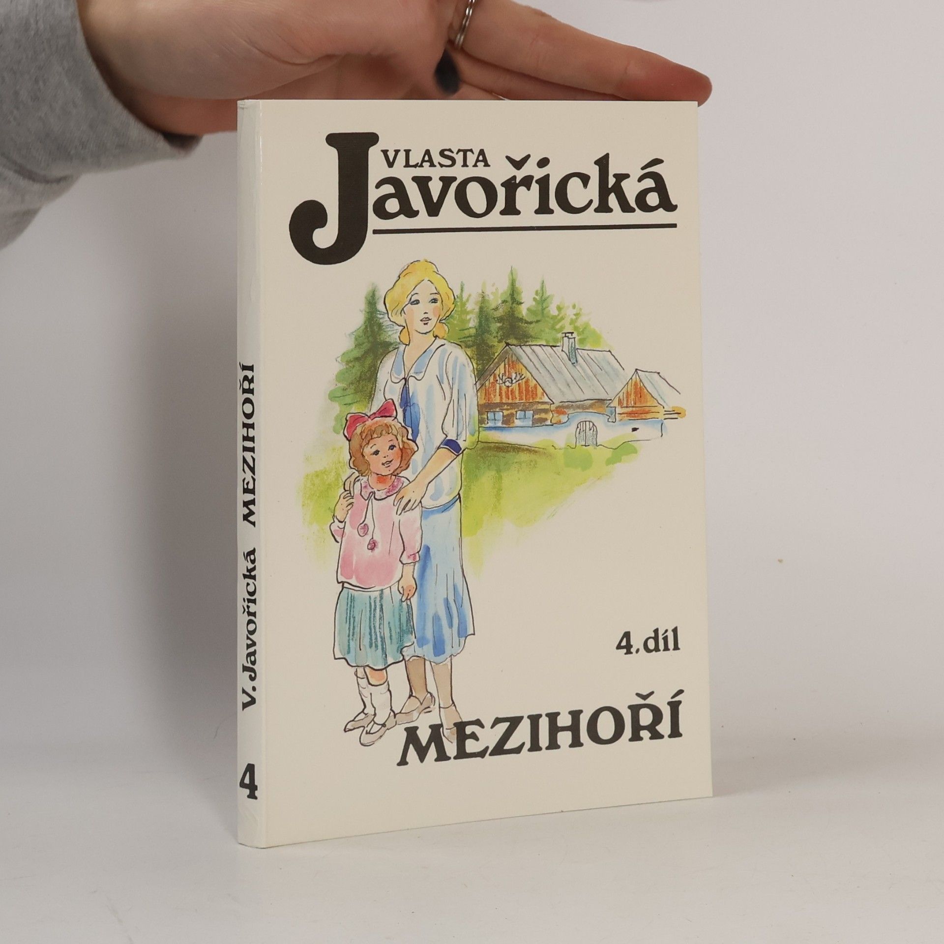 Mezihoří 4