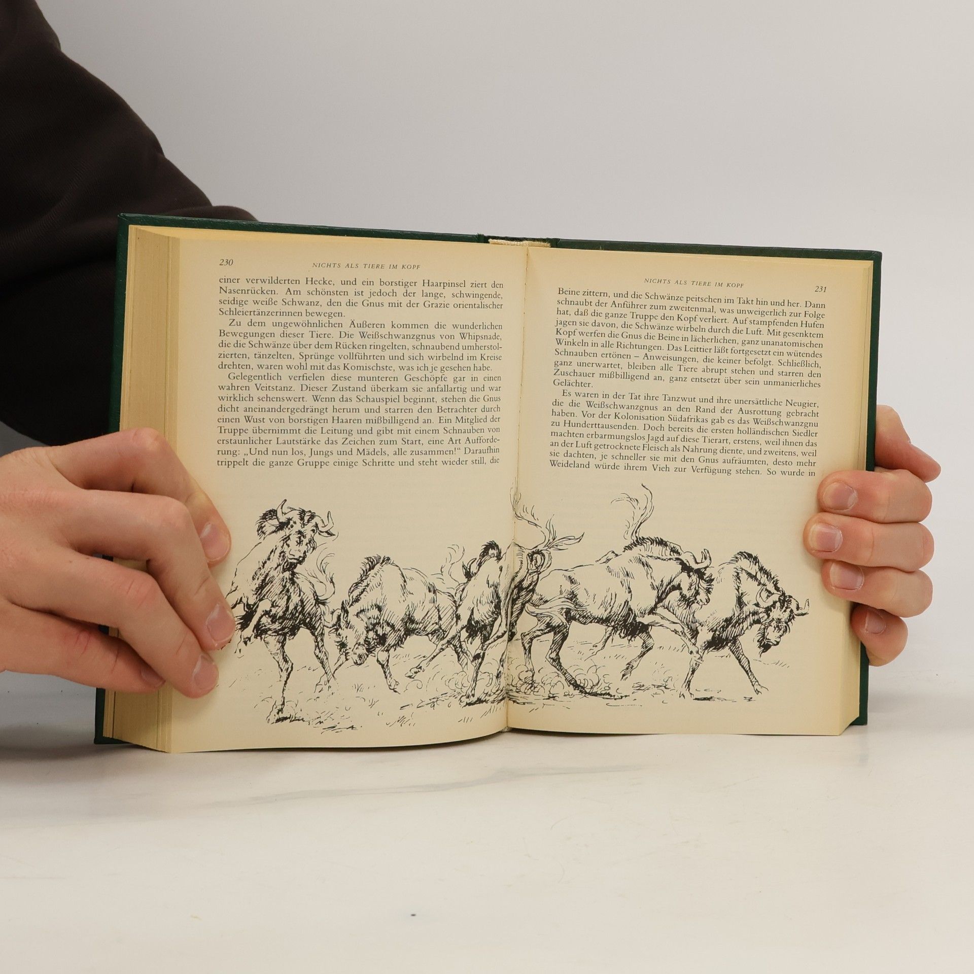 Dick Francis Reader's Digest Auswahlbücher. Unter dem Kalanderbaum. Nichts als Tiere im Kopf. In bester Absicht. Zahm und Zerbrochen