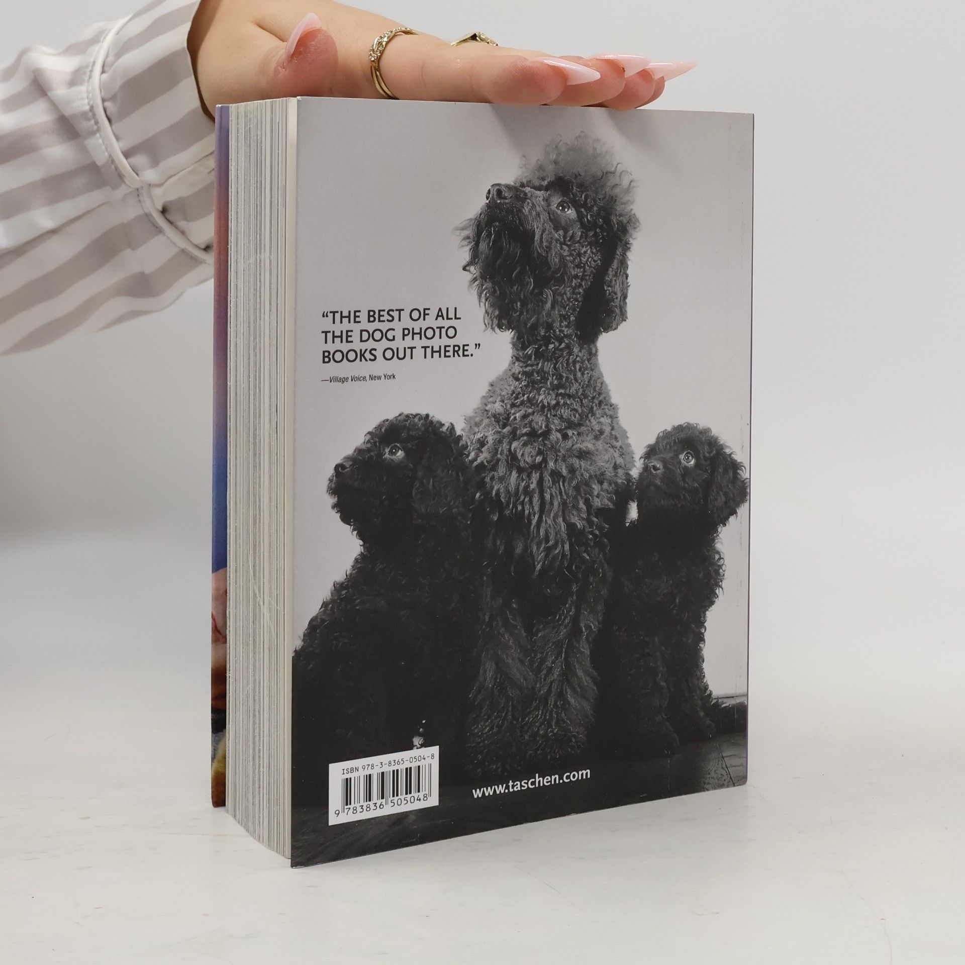 Raymond Merritt A Thousand Dogs