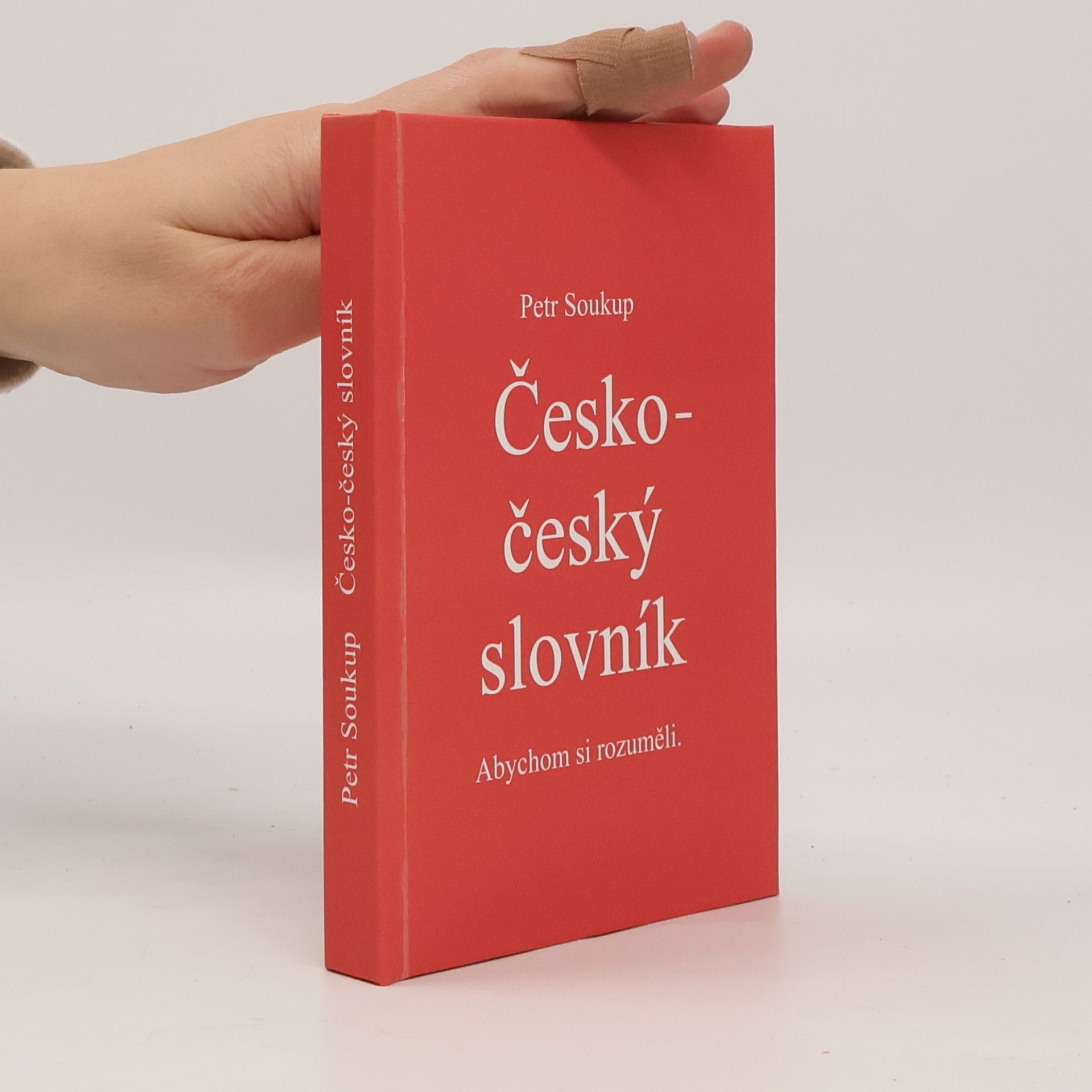 Česko-český slovník. Abychom si rozuměli