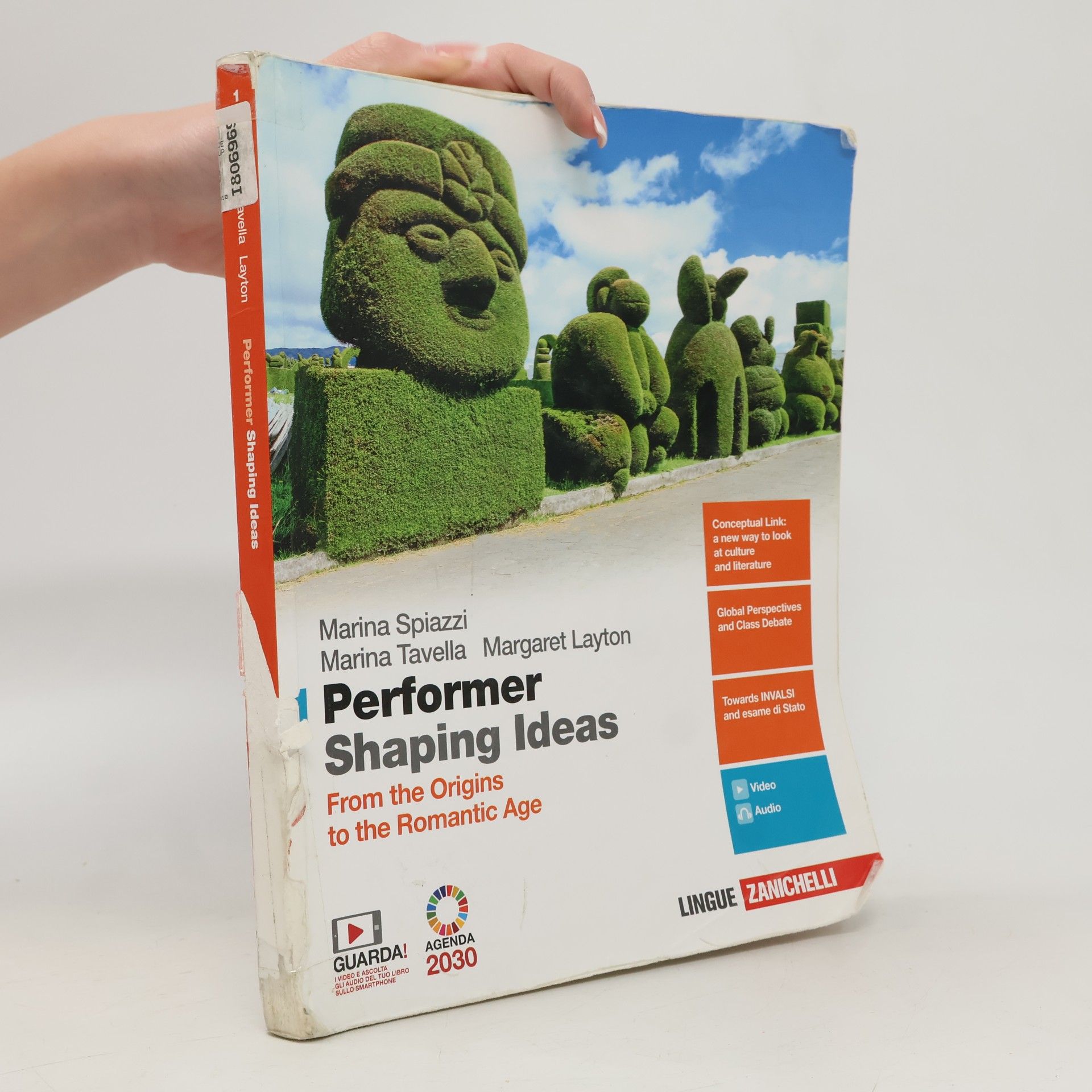 Performer Shaping Ideas 1