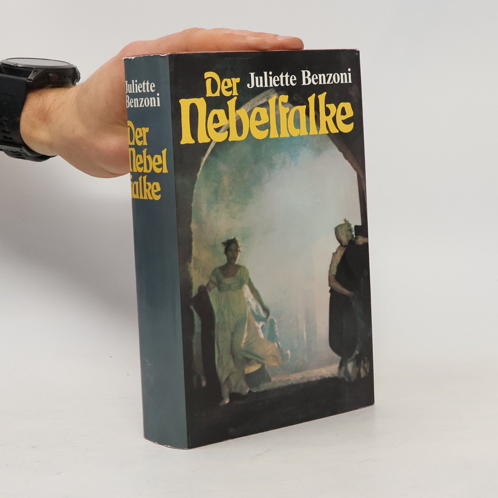 Juliette Benzoni Der Nebelfalke
