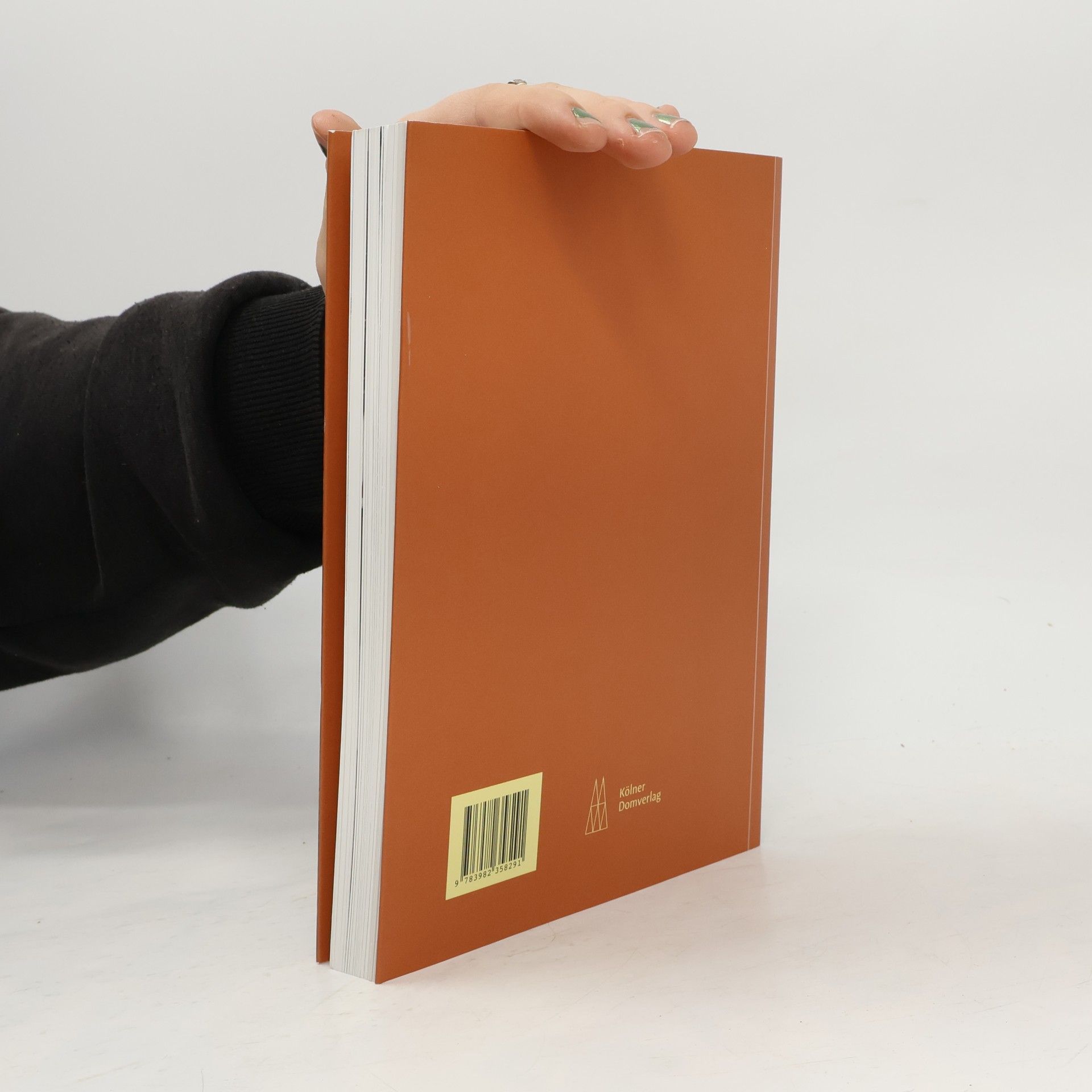 Kolektiv autorů Kölner Domblatt 2024
