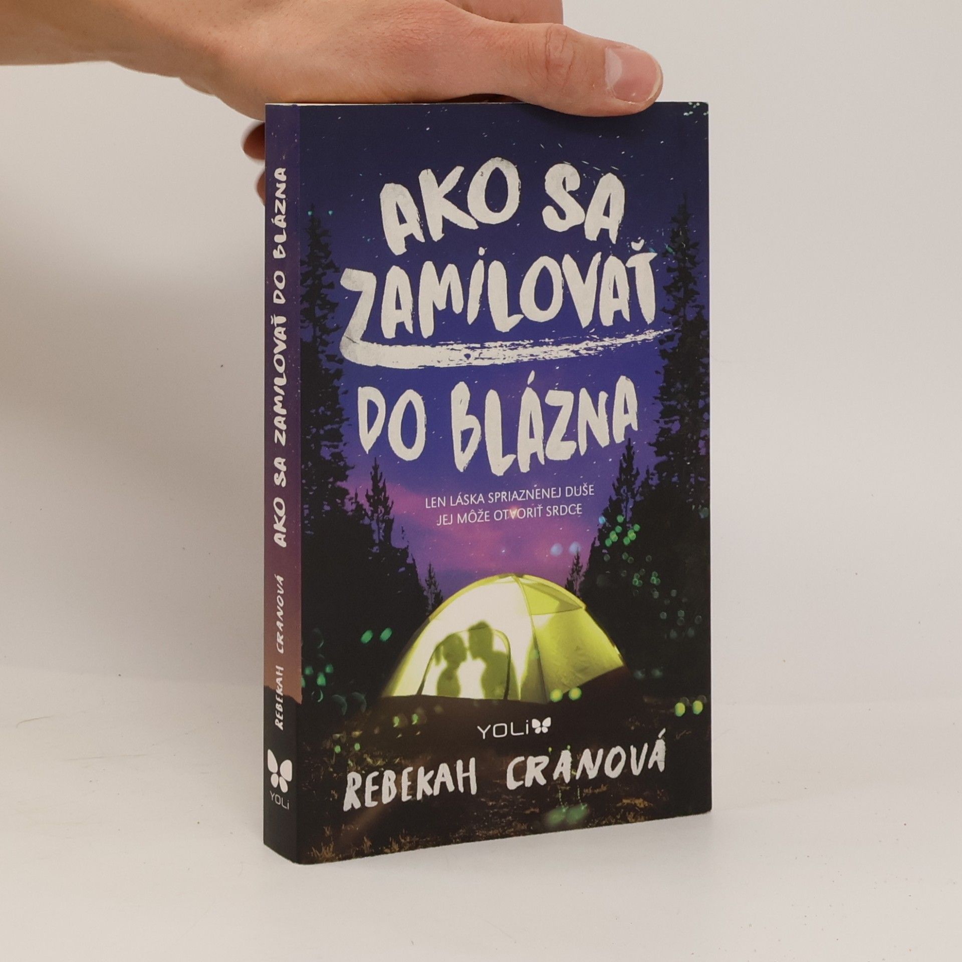 Ako sa zamilovať do blázna