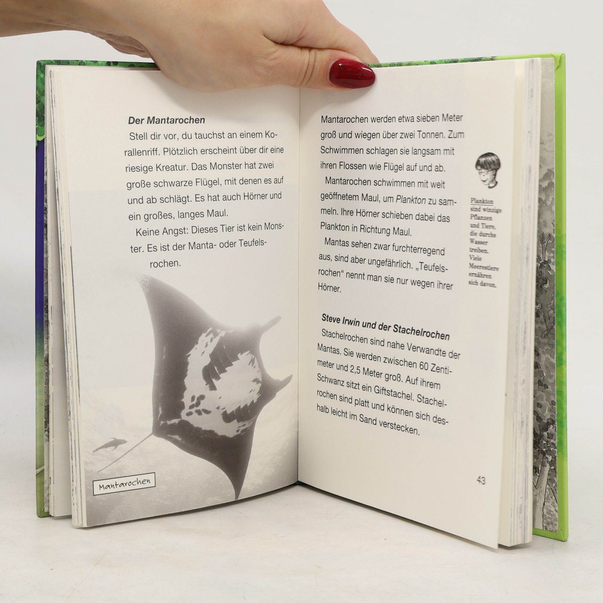 Mary Pope Osborne Das magische Baumhaus – Forscherhandbuch Tiefsee