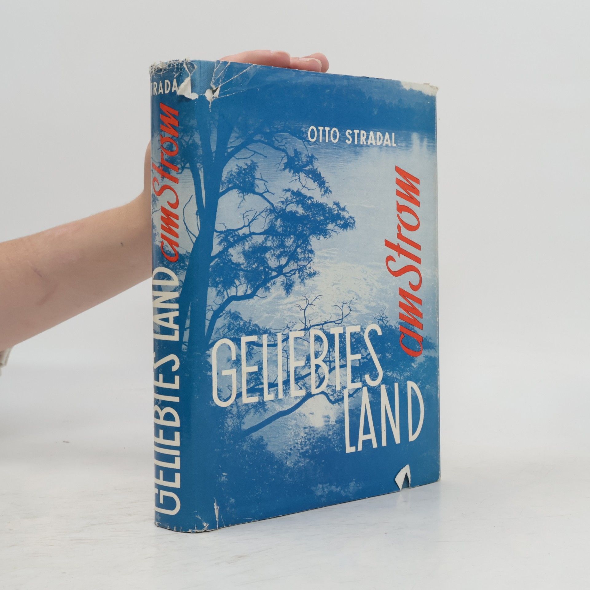 Geliebtes Land am Strom