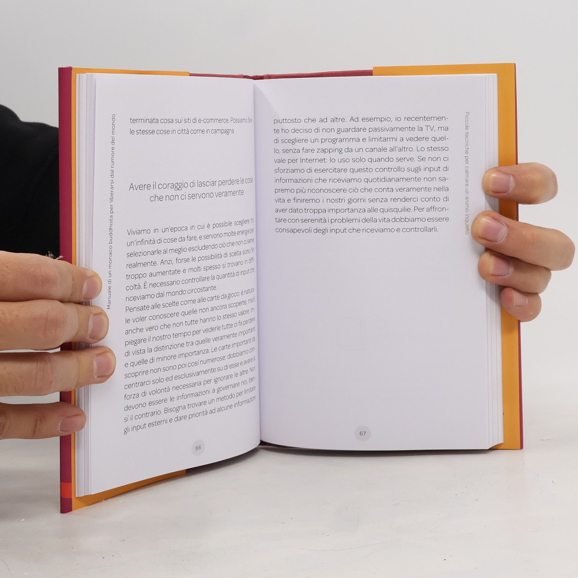 Keisuke Matsumoto Manuale di un monaco buddhista per liberarsi dal rumore del mondo