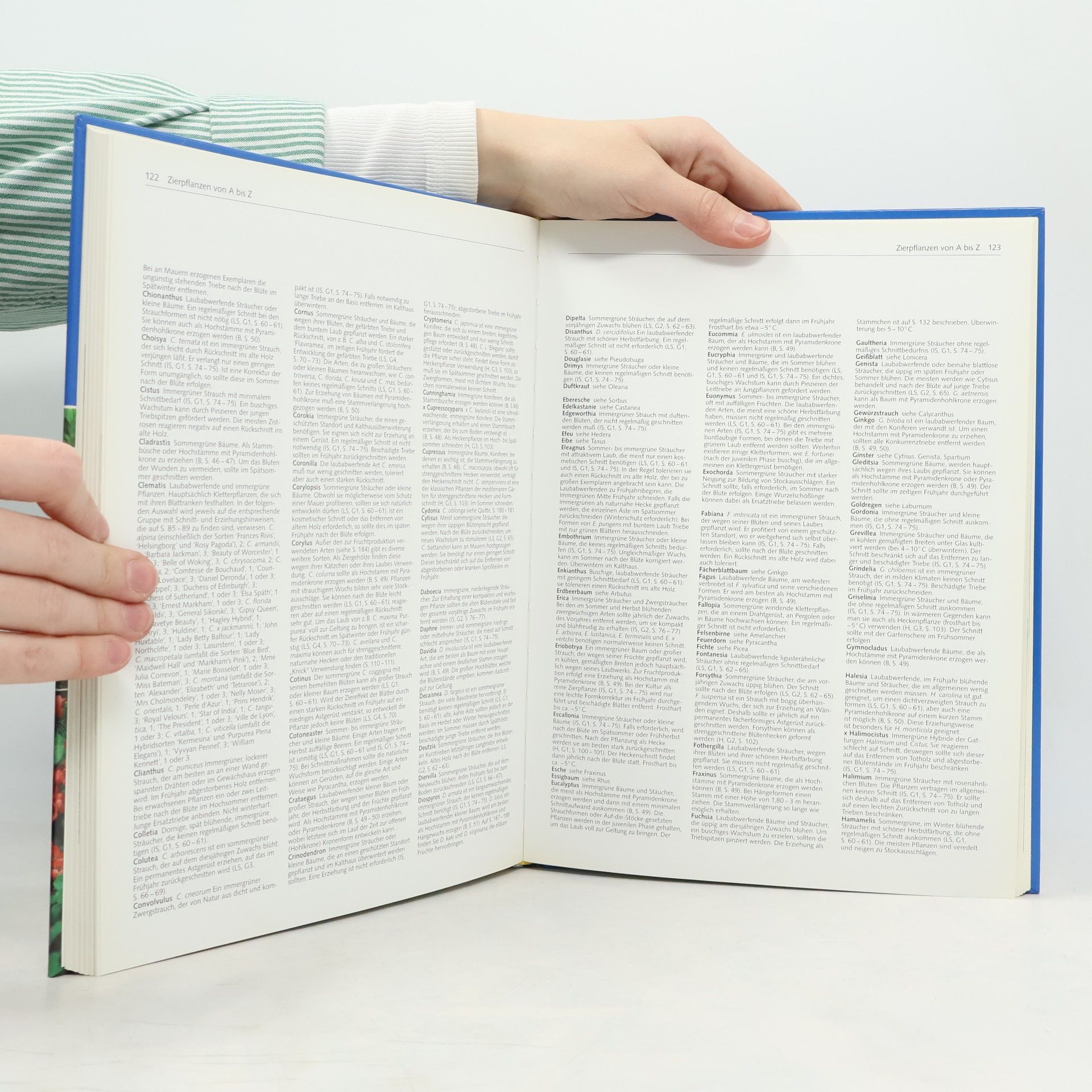 David Joyce Das große Buch vom Pflanzenschneiden