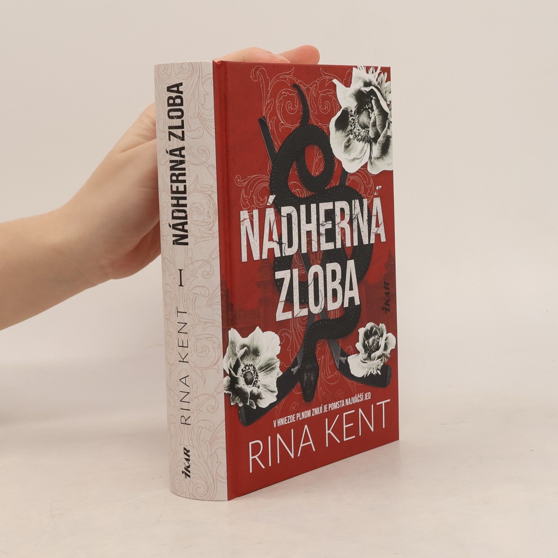 Rina Kent Nádherná zloba I