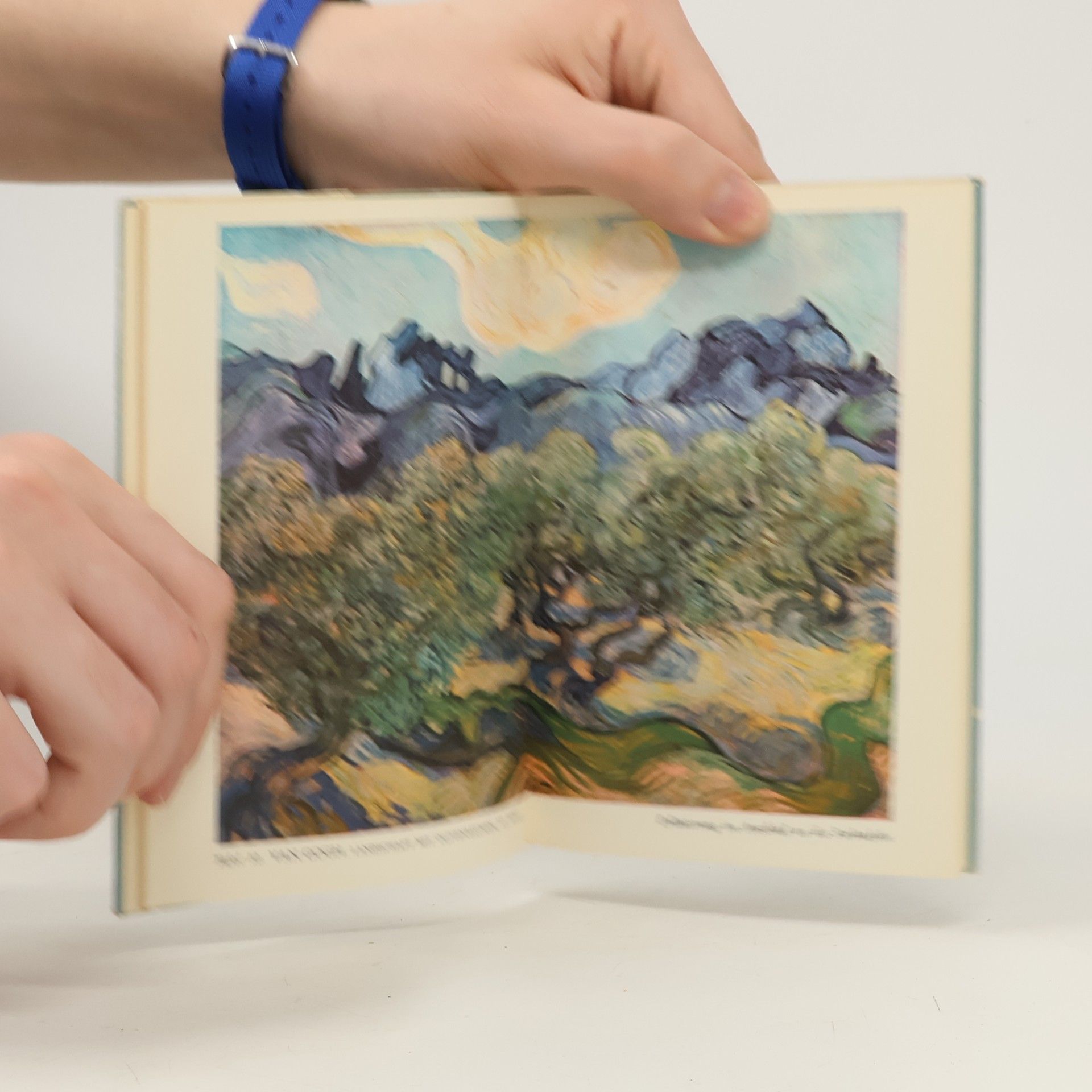 Collectif d'auteurs Expressionisten