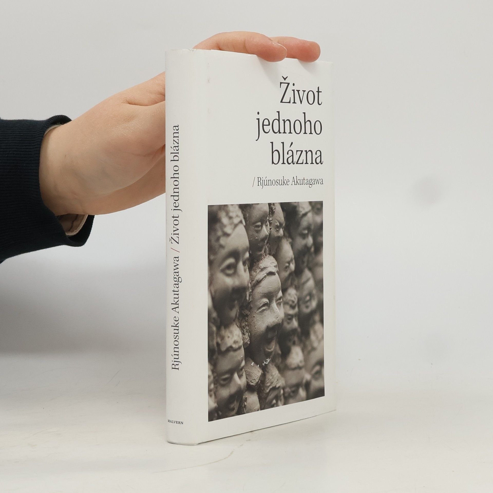 Život jednoho blázna