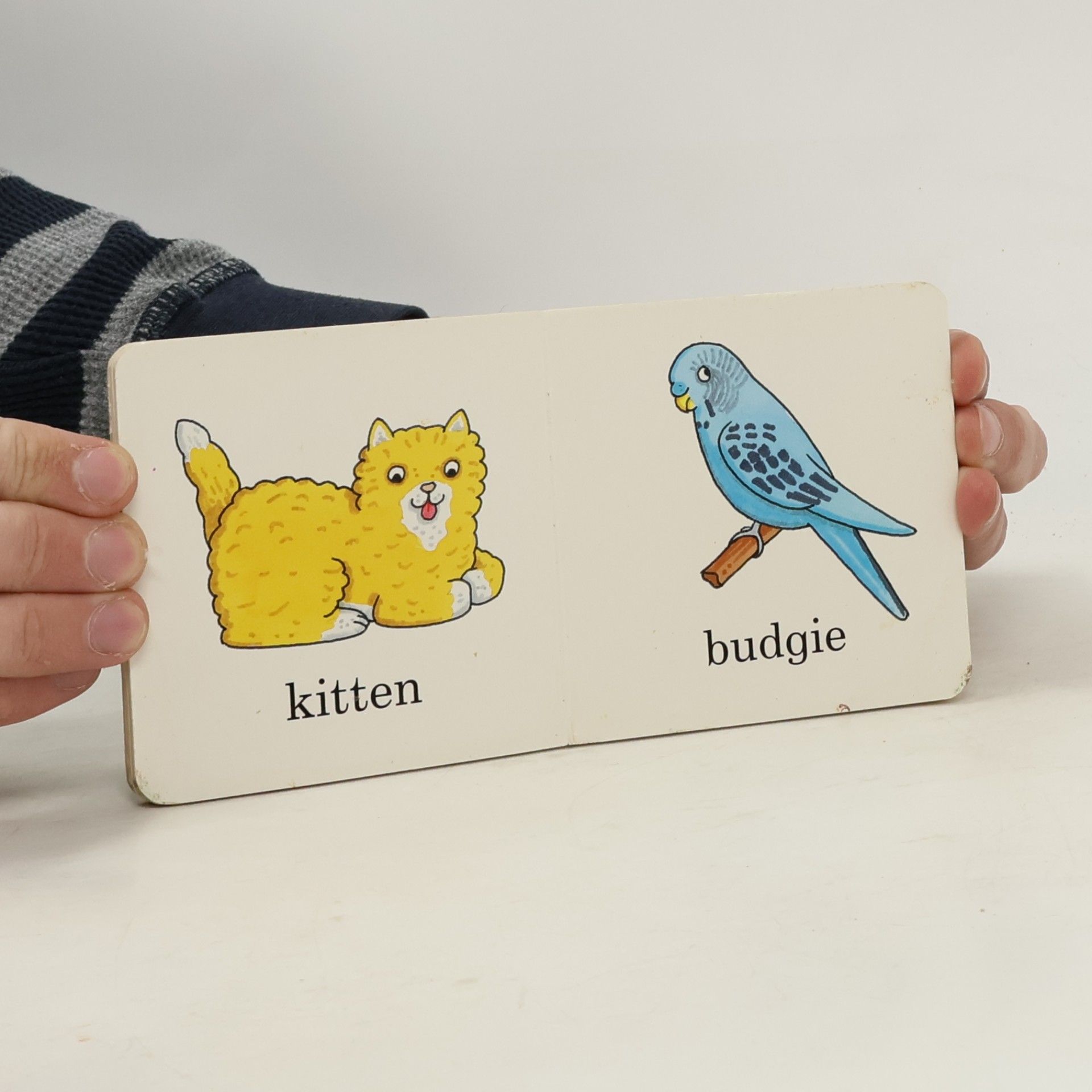 Rod Campbell Pets