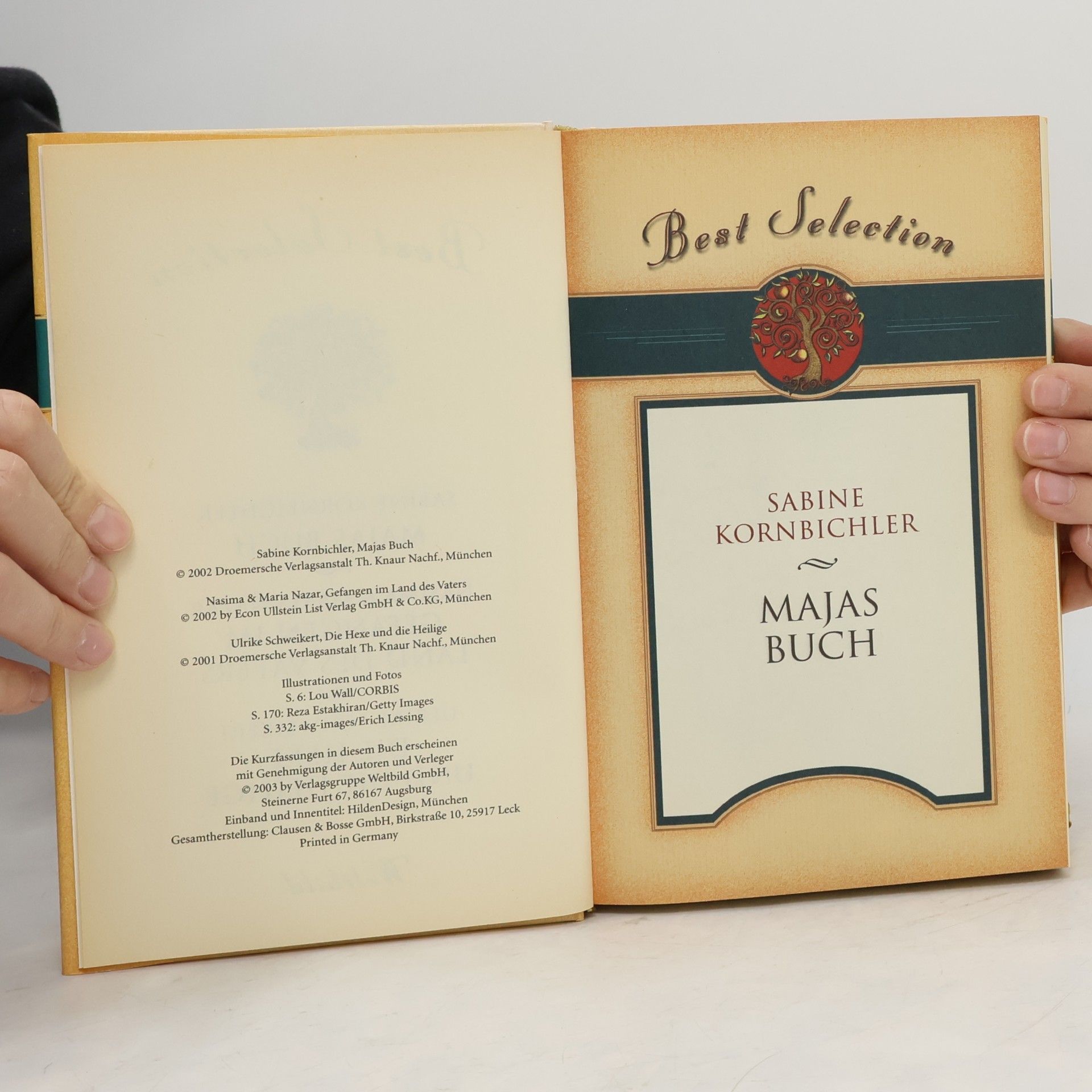 Ulrike Schweikert Best Selection. ajas Buch / Gefangen im Land des Vaters / Die Hexe und die Heilige