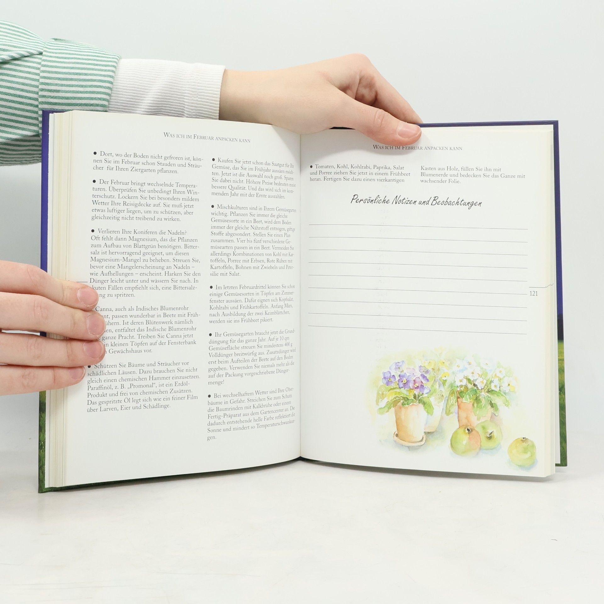 Claudia Graf Das große Mosaik-Mondbuch