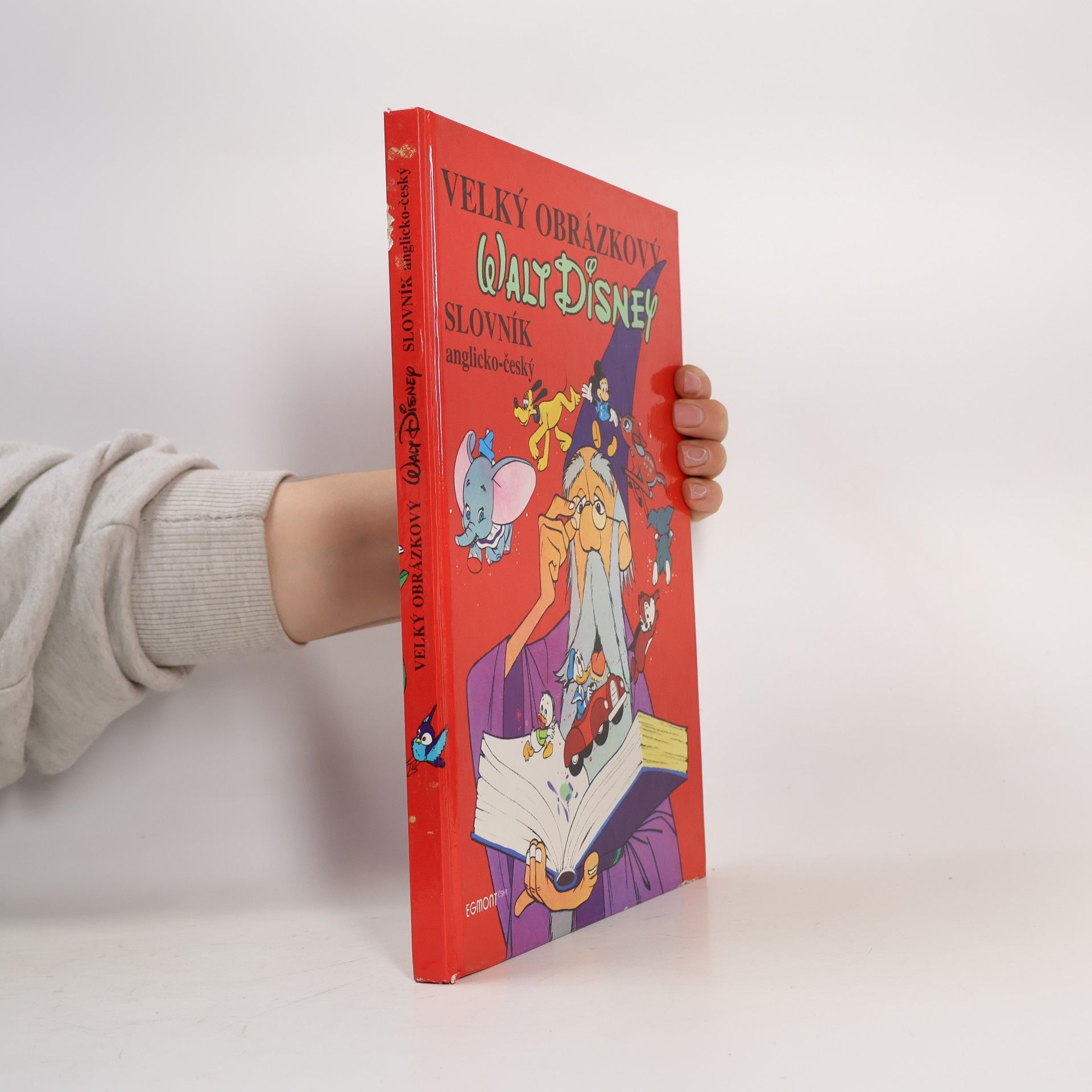 Walt Disney Velký obrázkový slovník anglicko-český