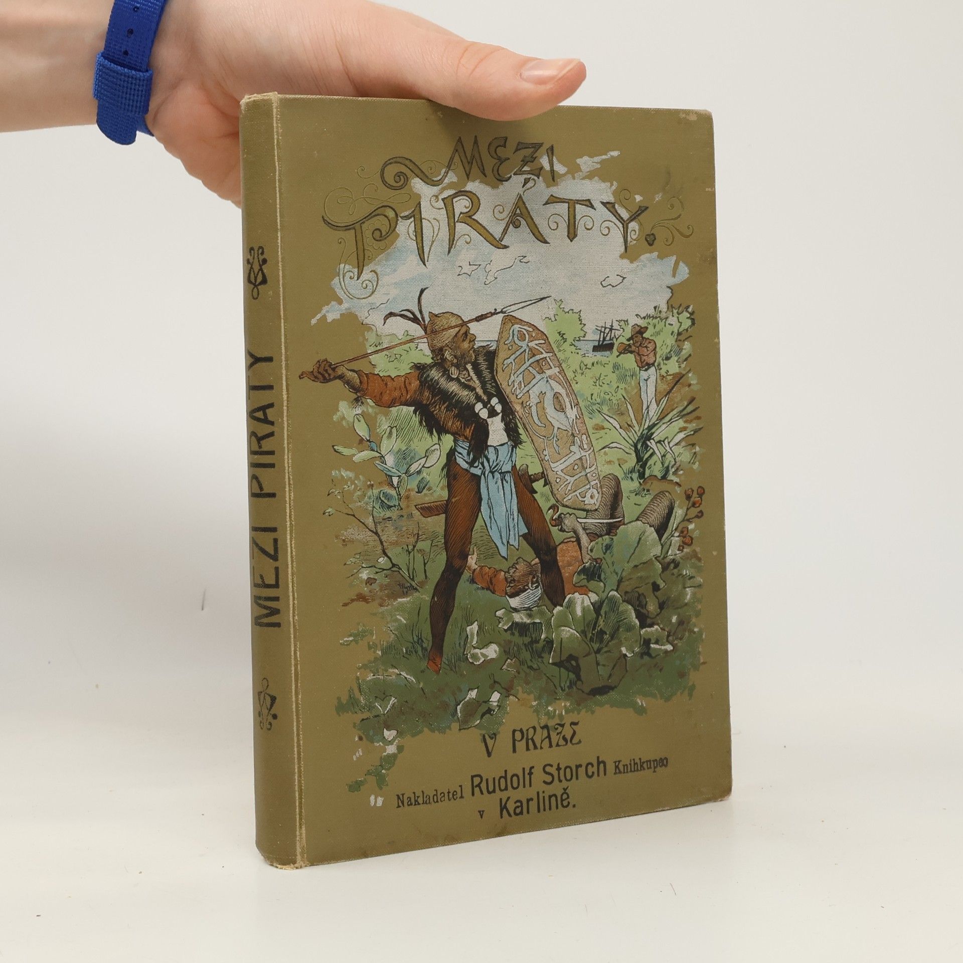 Mezi piráty /