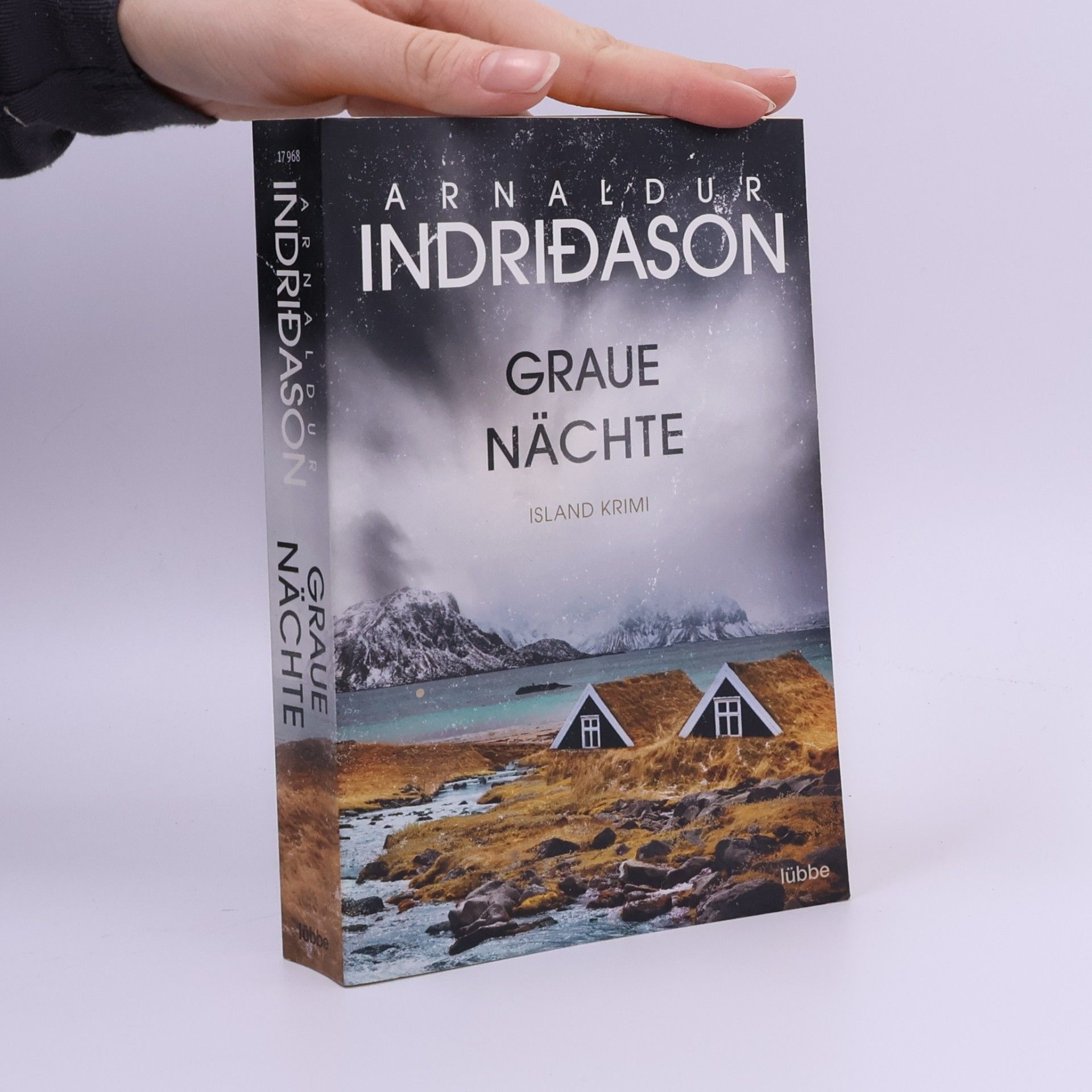 Arnaldur Indridason Graue Nächte