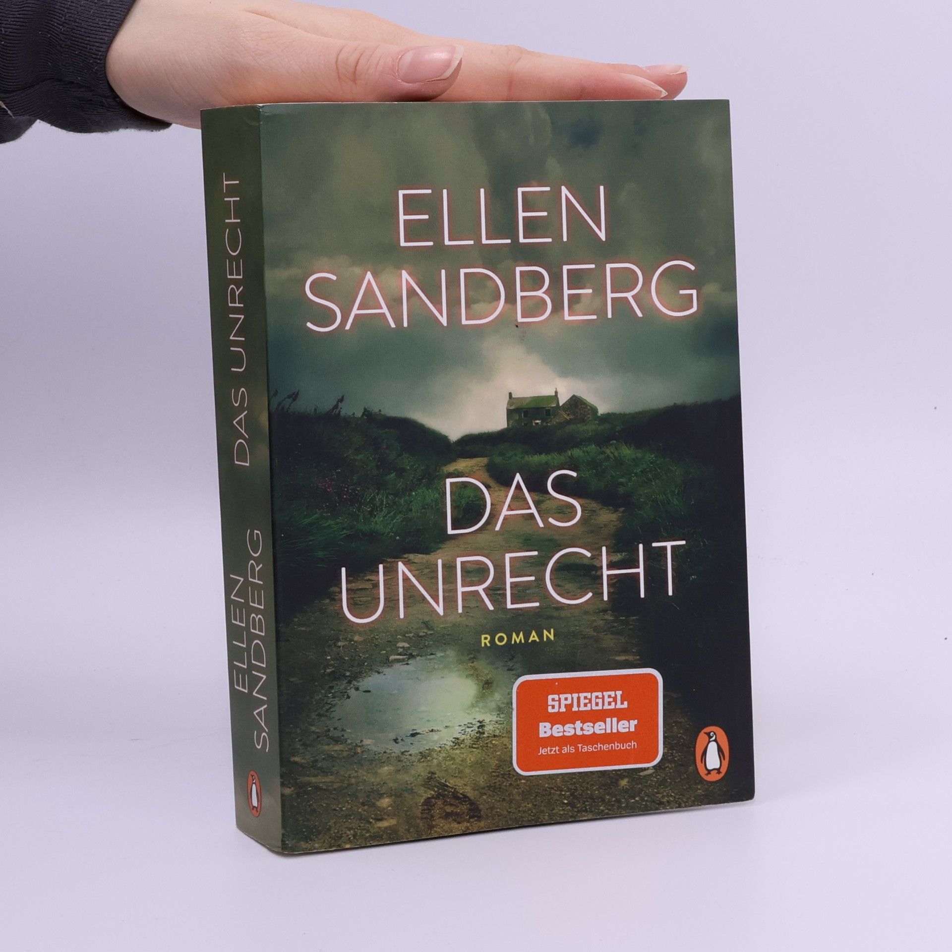 Ellen Sandberg Das Unrecht
