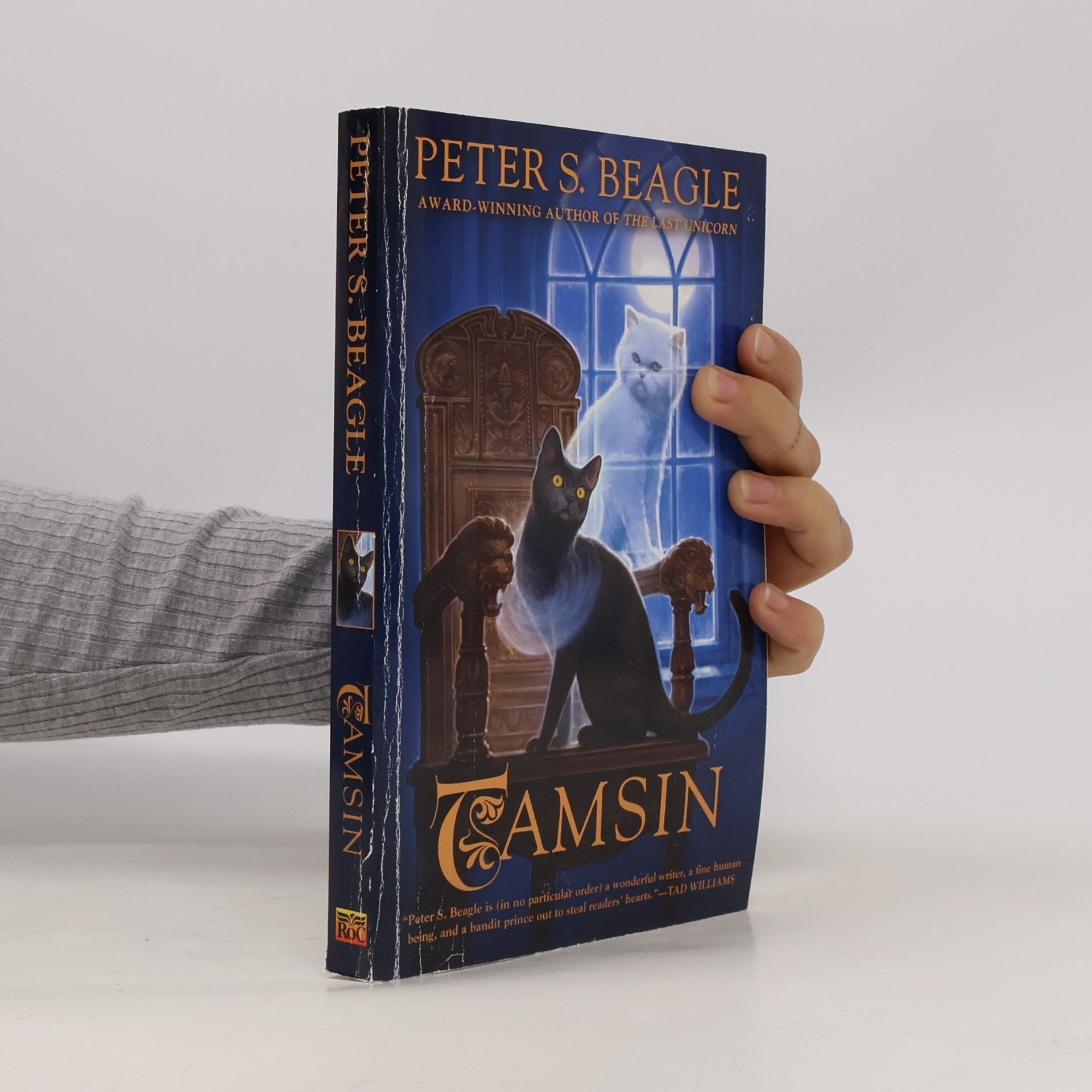 Peter S. Beagle Tamsin