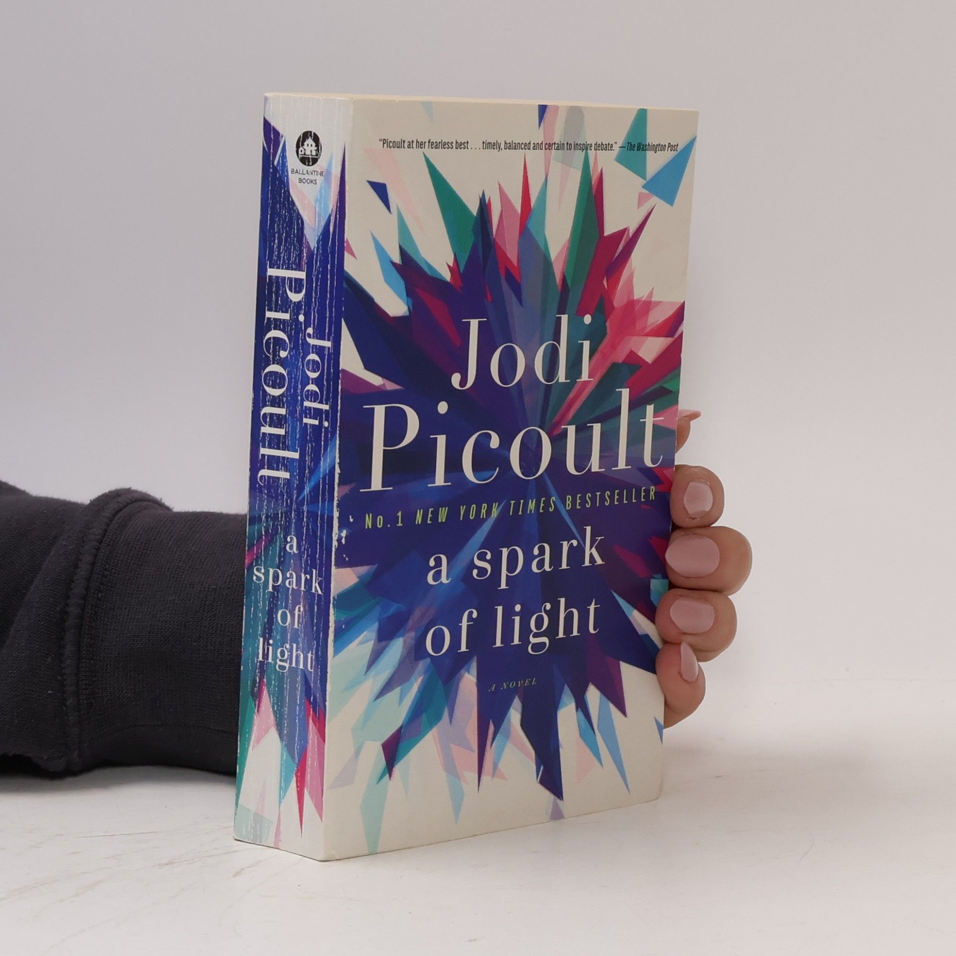 Jodi Picoult A Spark of Light