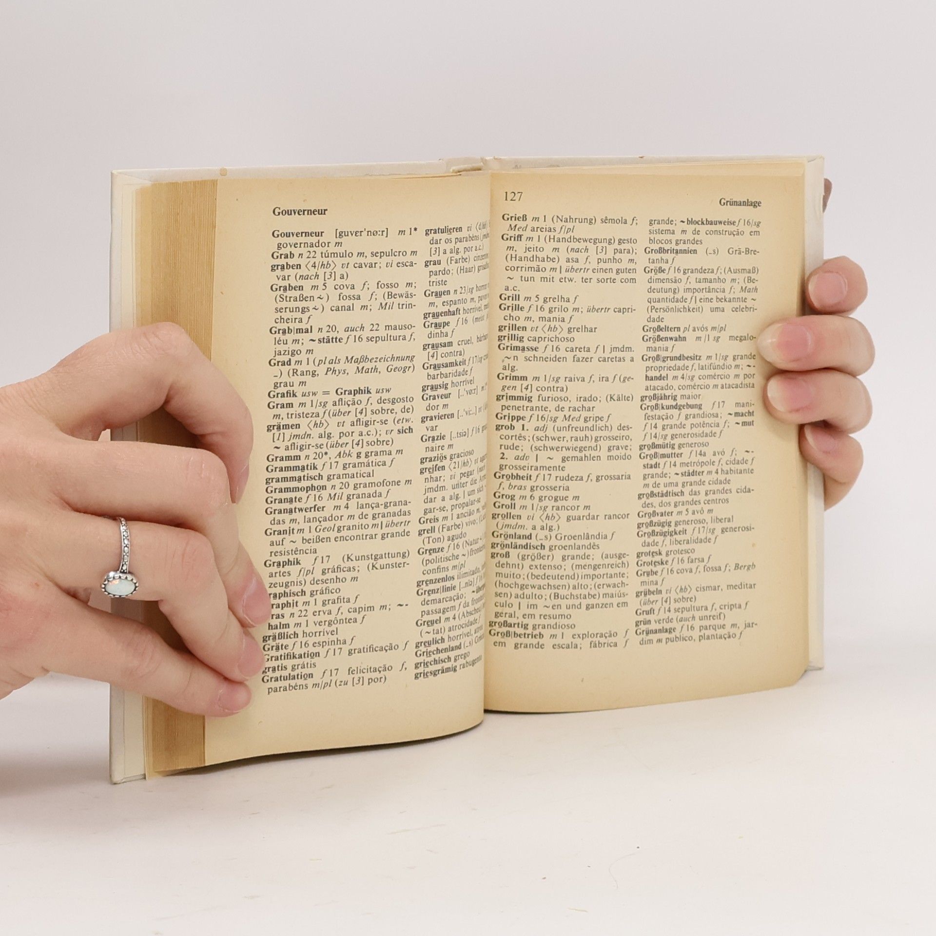 Wolfgang Ebert Taschenwörterbuch