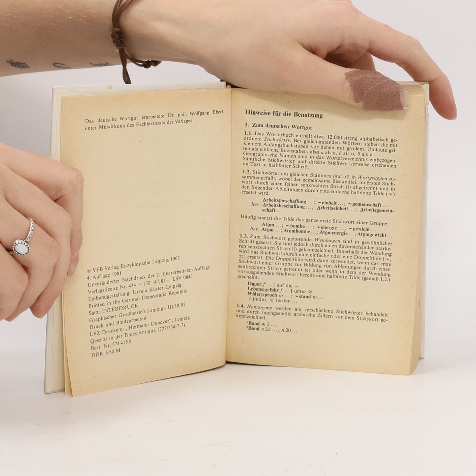 Wolfgang Ebert Taschenwörterbuch