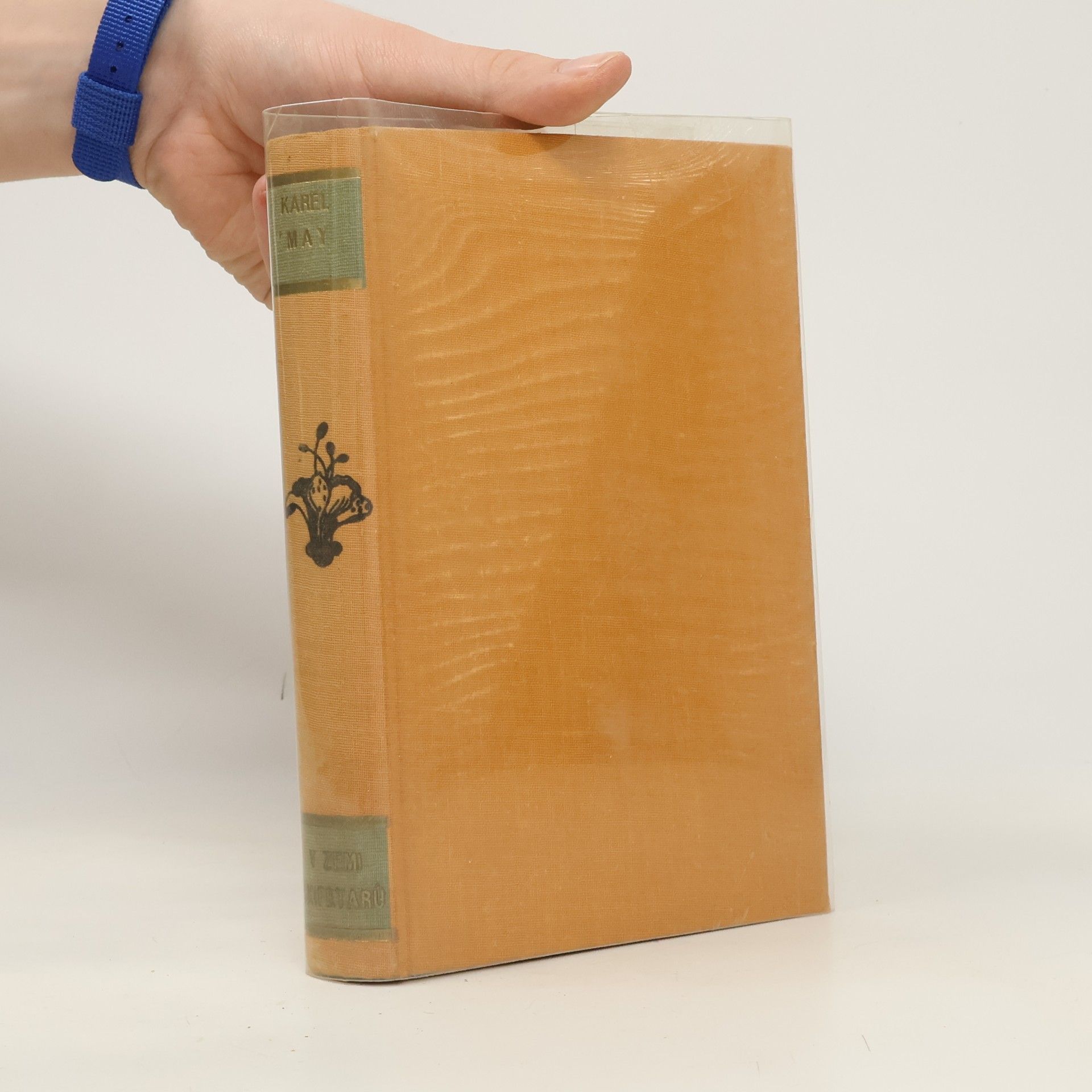 Karel May V zemi škipetarů